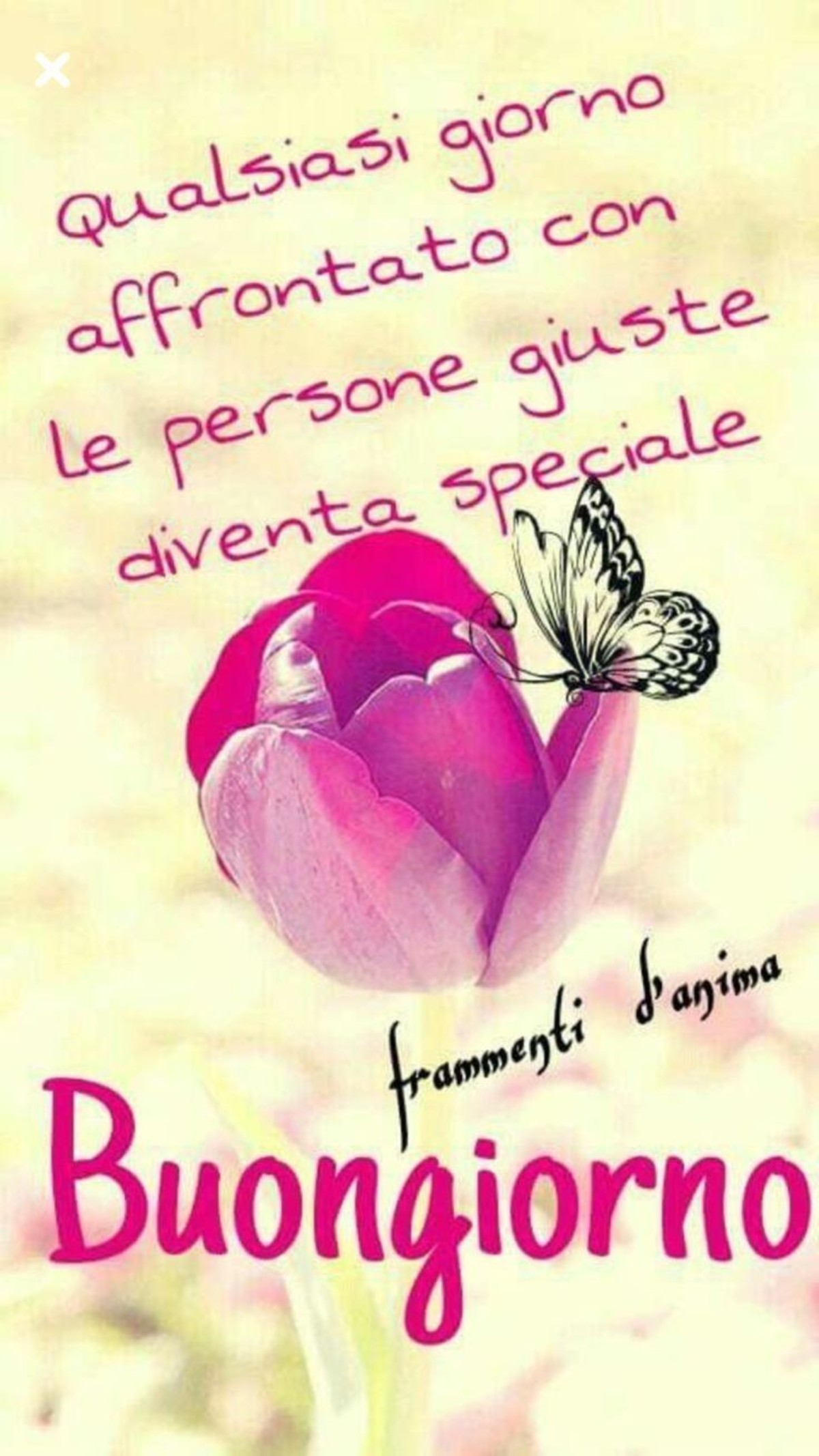 Buongiorno a te (6)