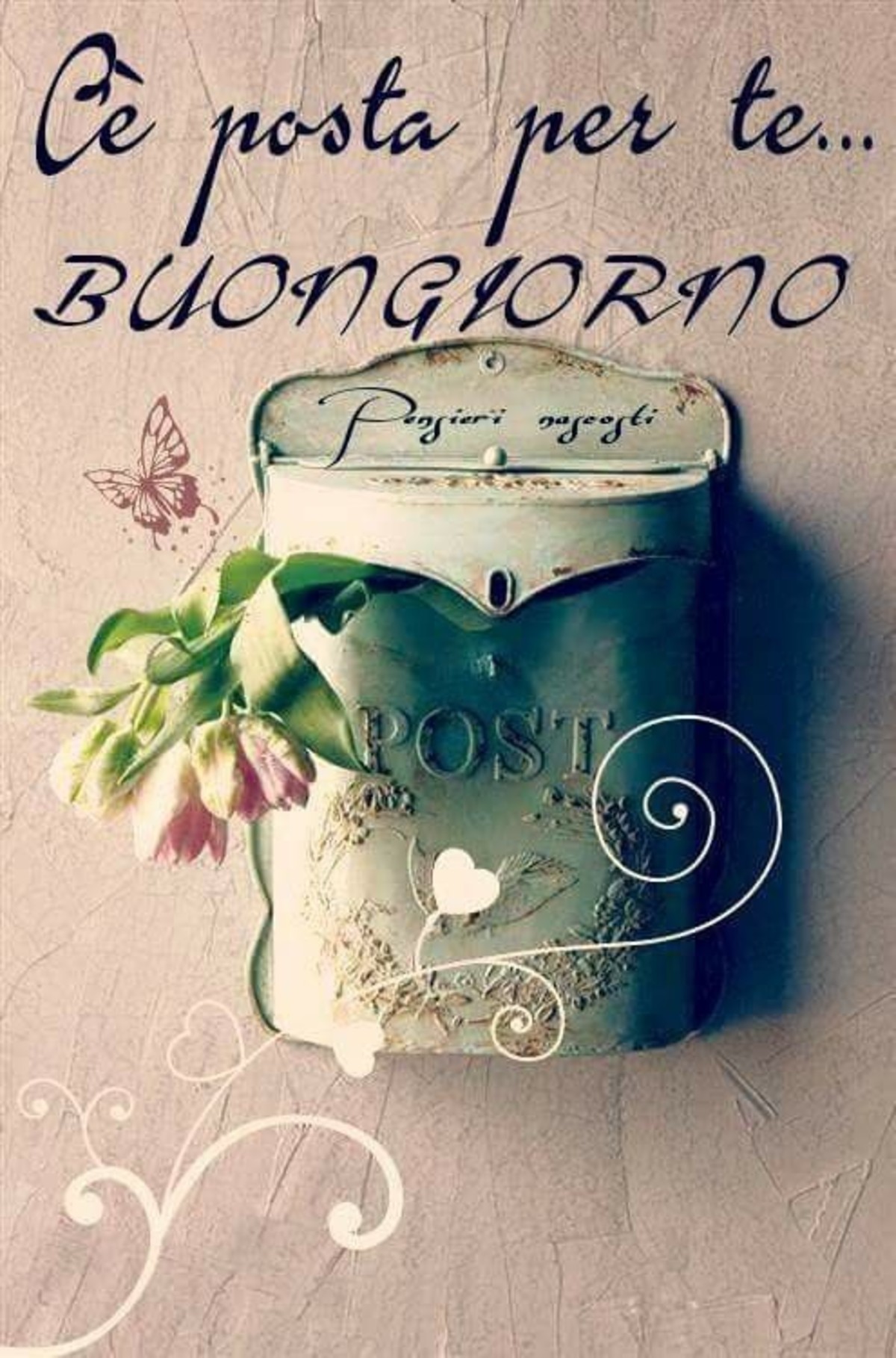 Buongiorno a te (7)