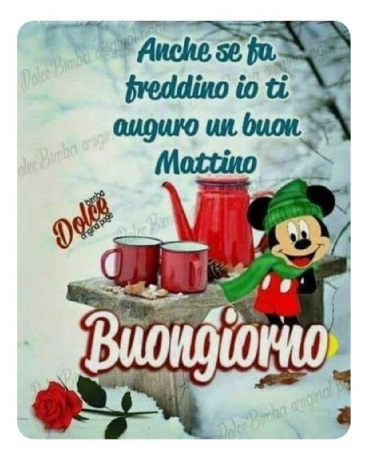 Buongiorno a te (8)