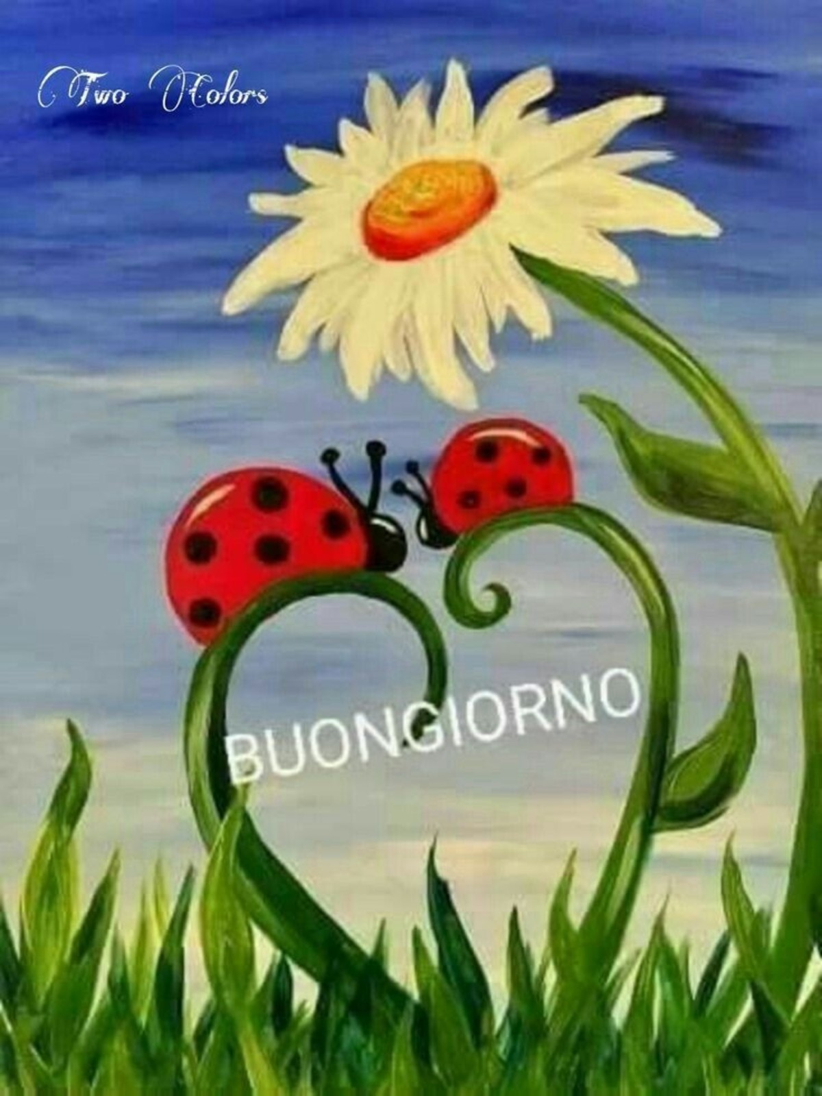 Buongiorno a tutti (21)