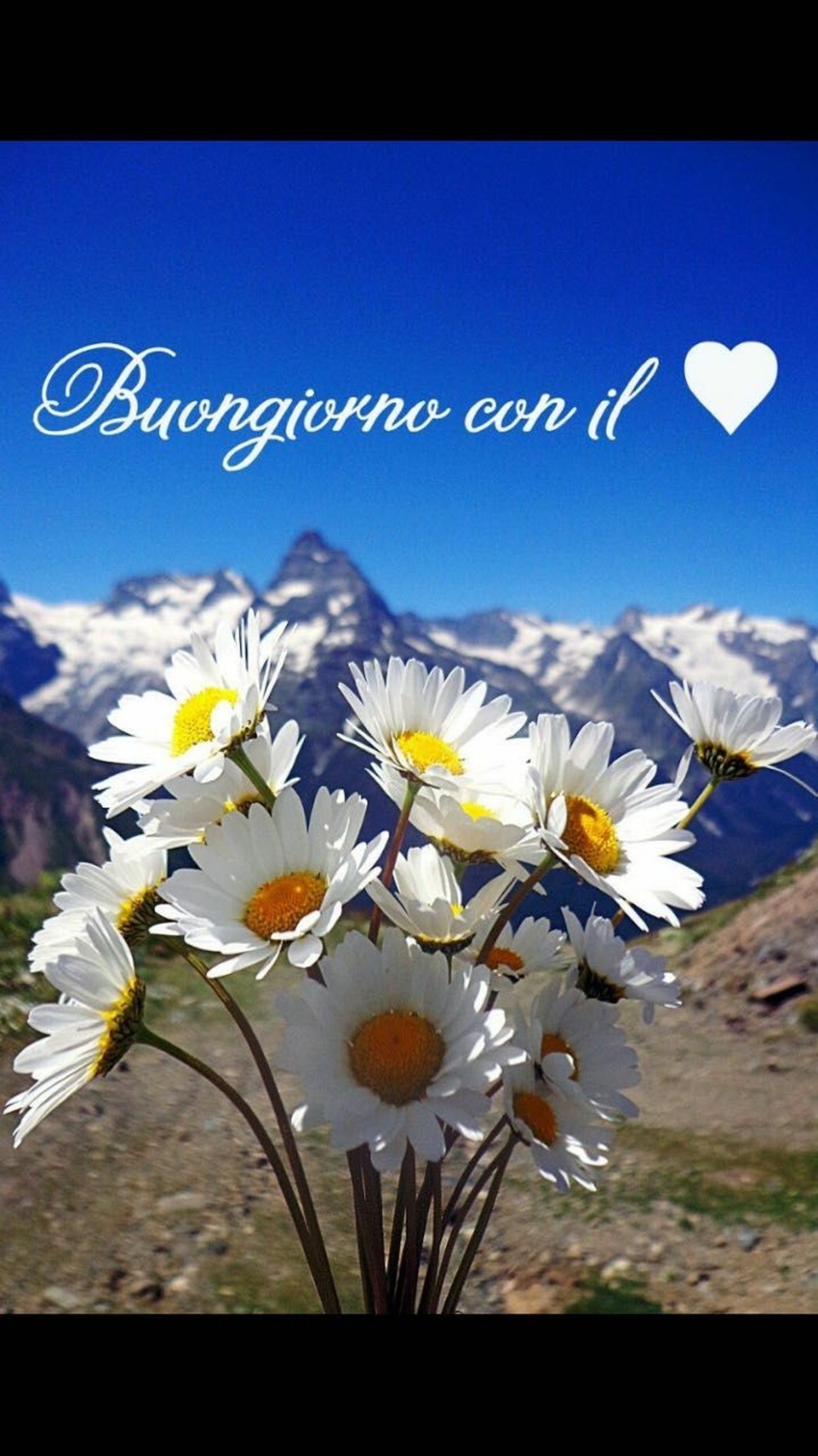 Buongiorno a tutti (8)