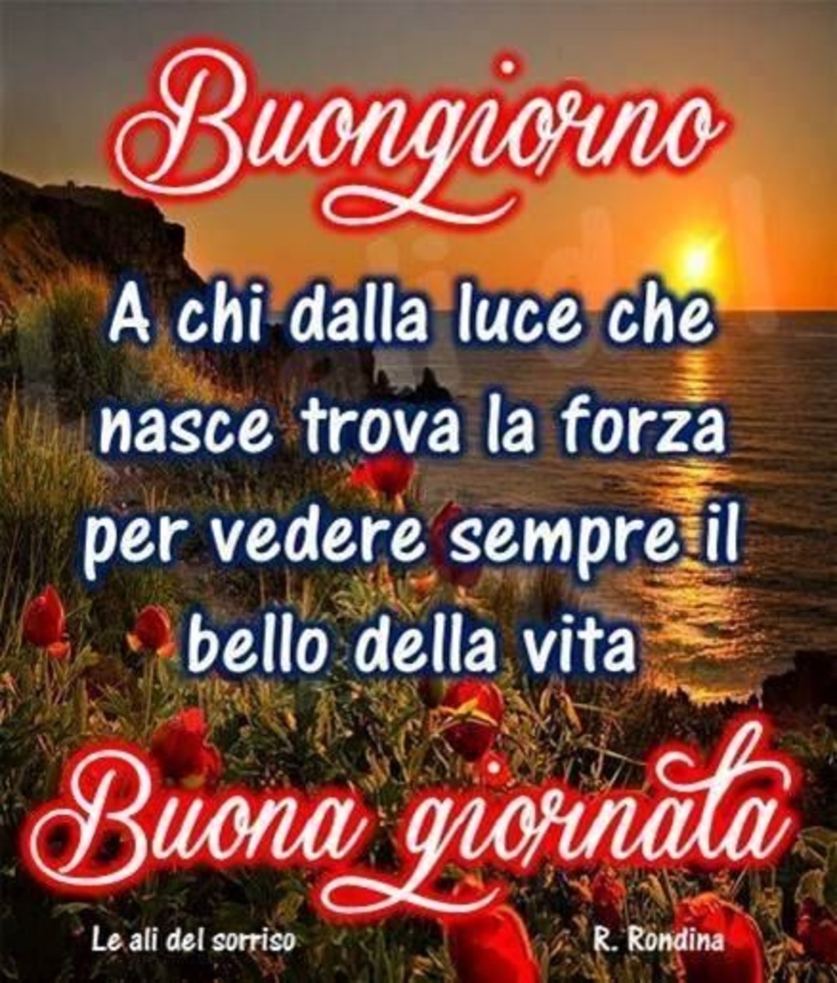 Buongiorno aforismi (1)