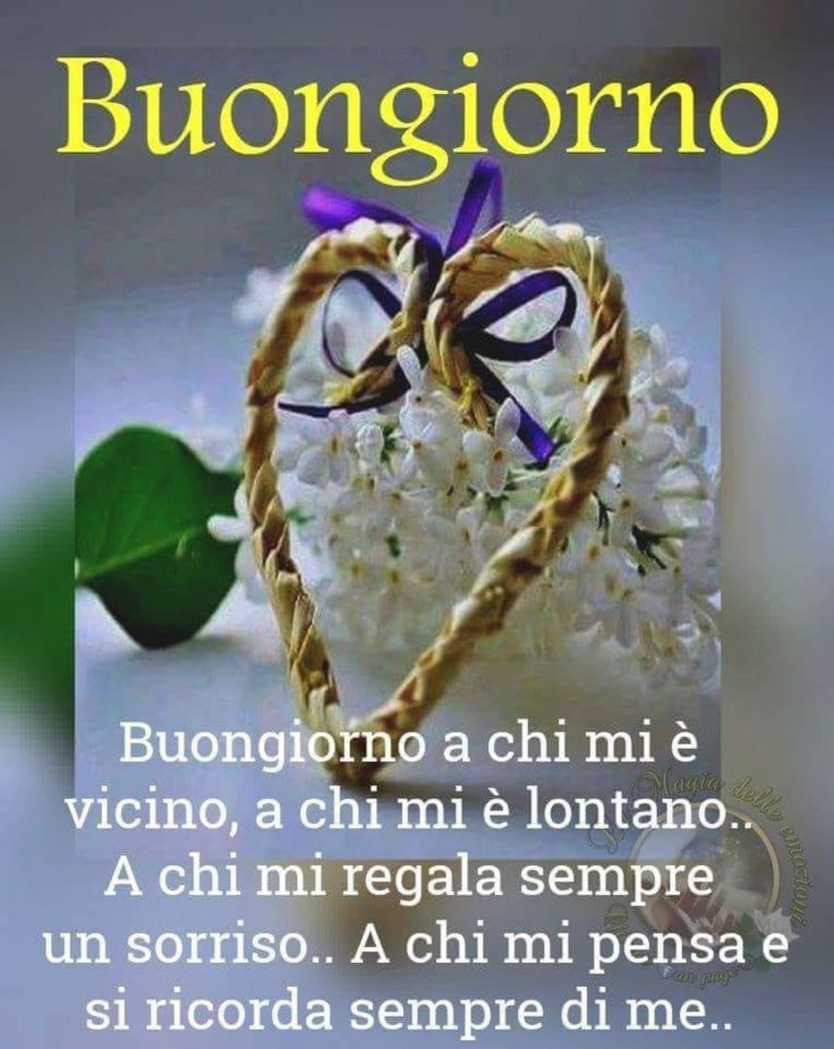 Buongiorno aforismi (4)