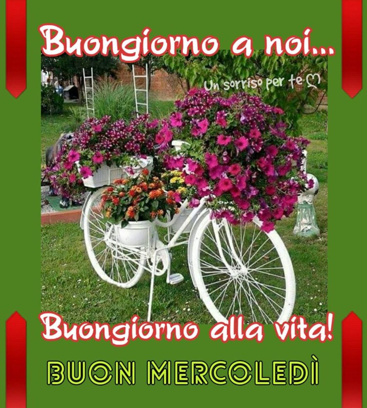 Buongiorno alla vita e buon mercoledì