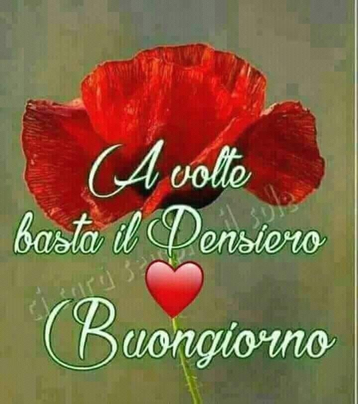 Buongiorno allegro a te (2)