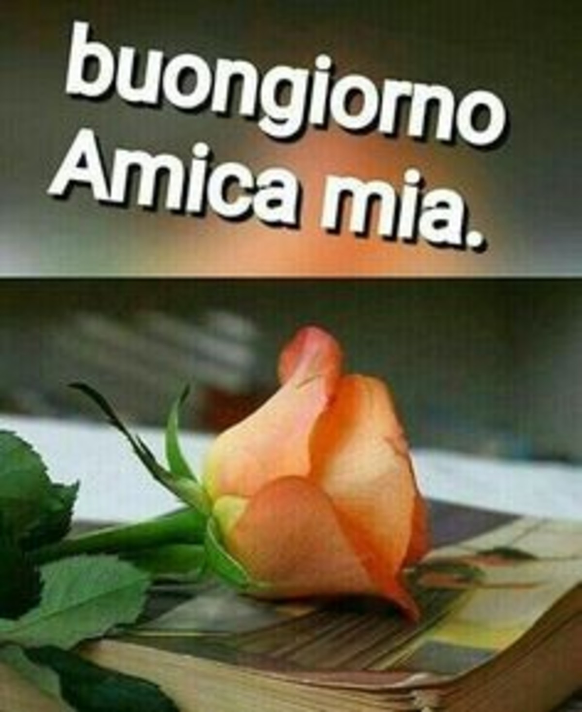 Buongiorno amica mia