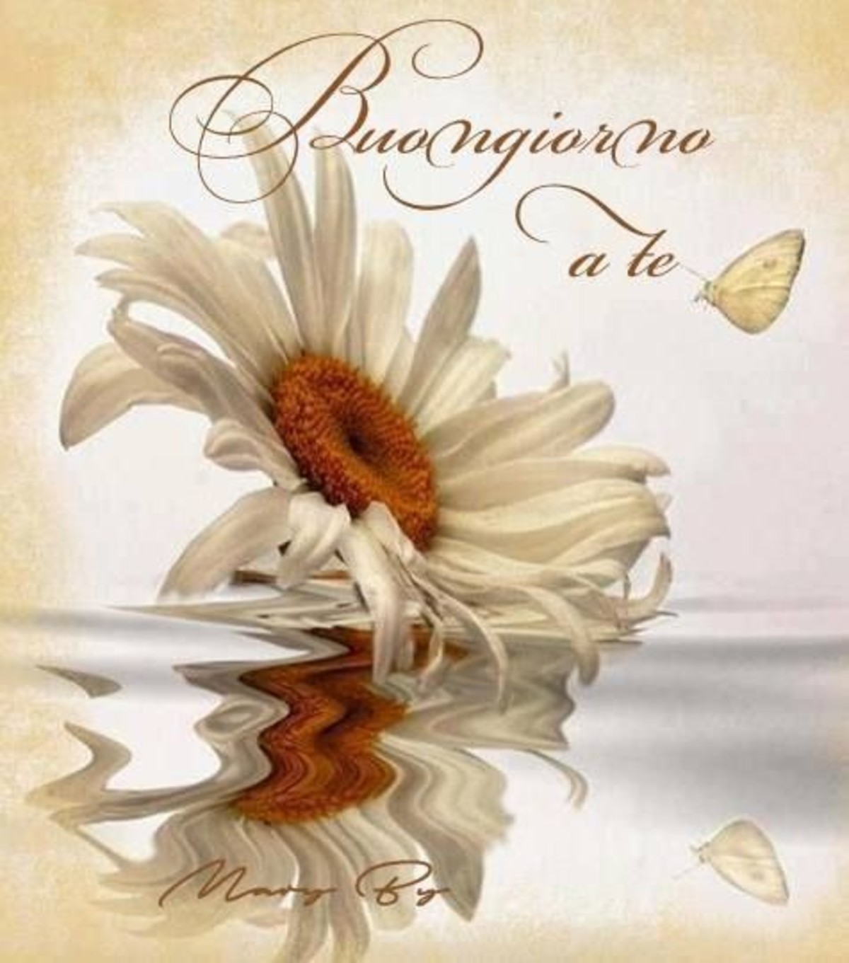 Buongiorno amici (14)
