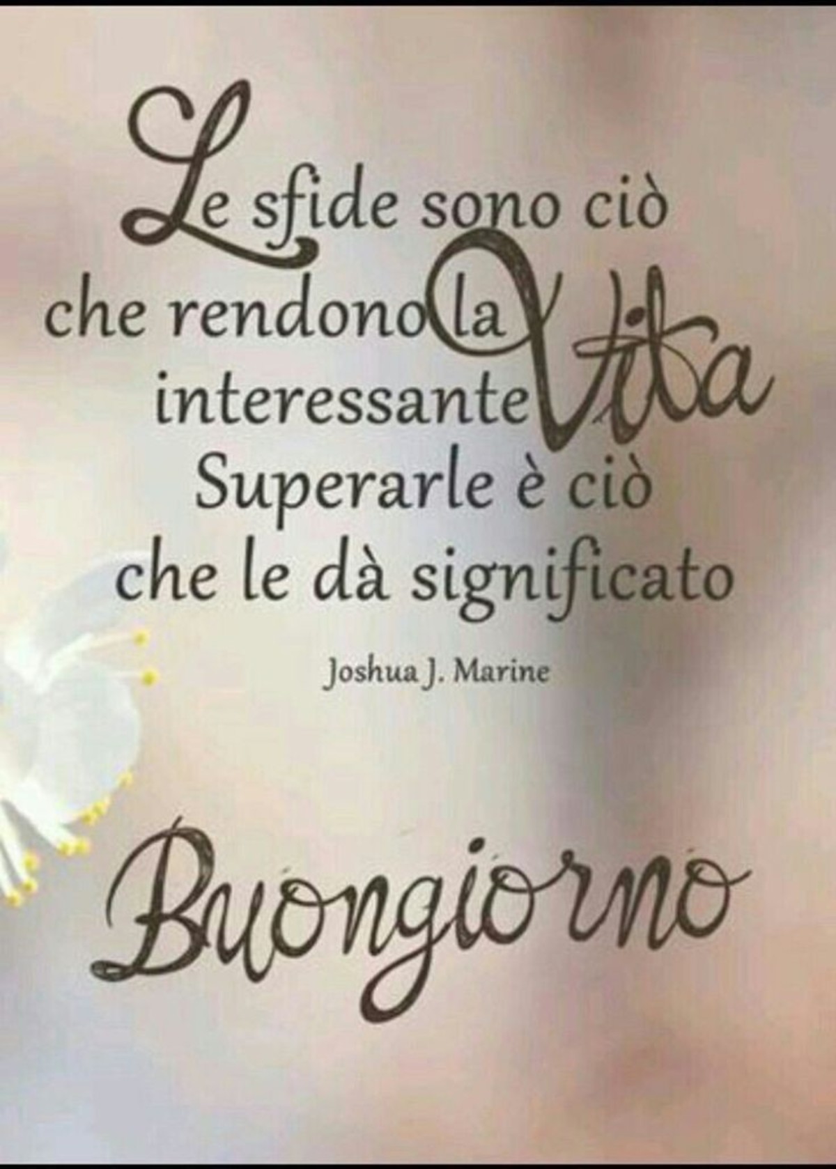 Buongiorno amici (16)