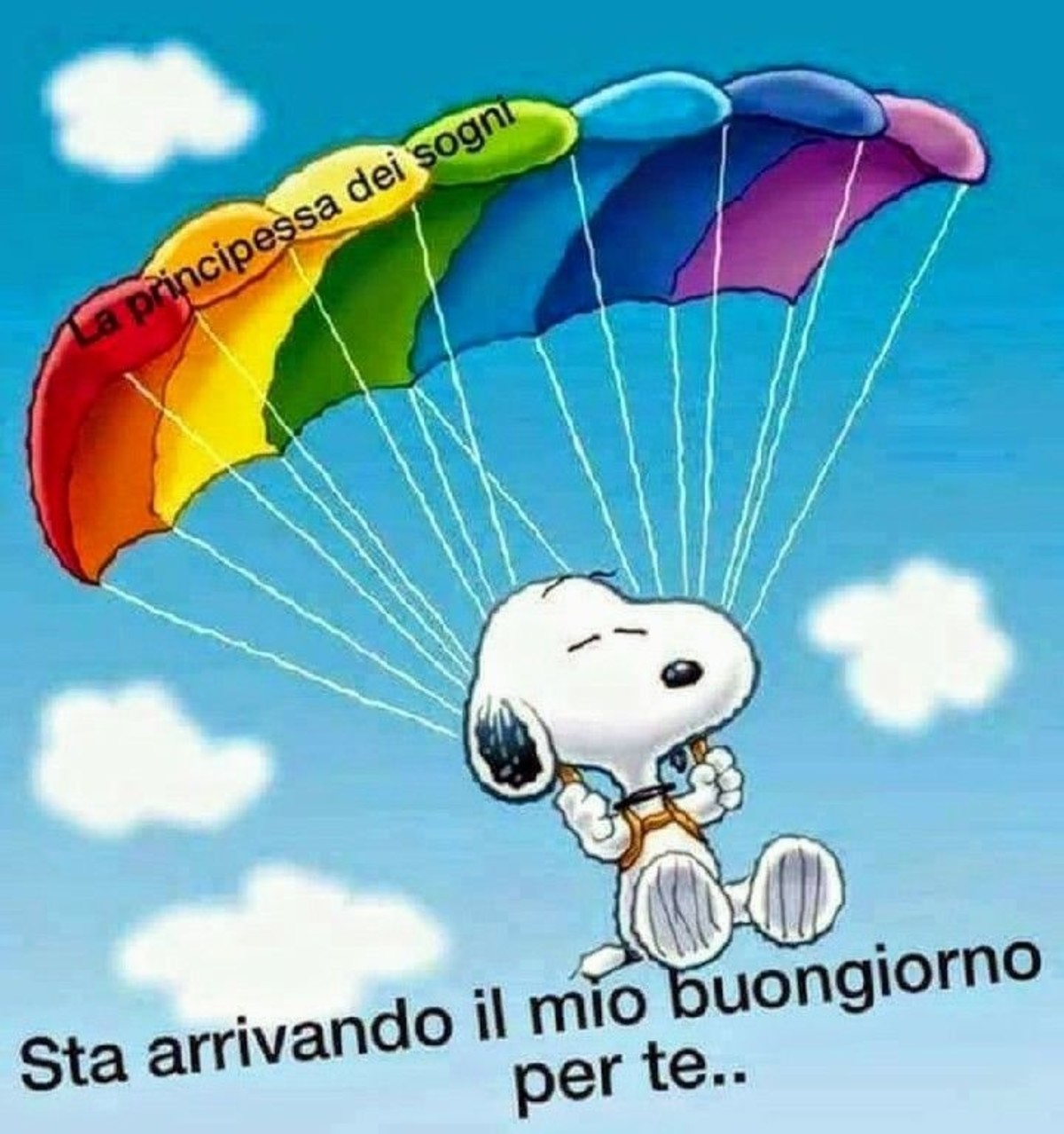 Buongiorno amici (4)