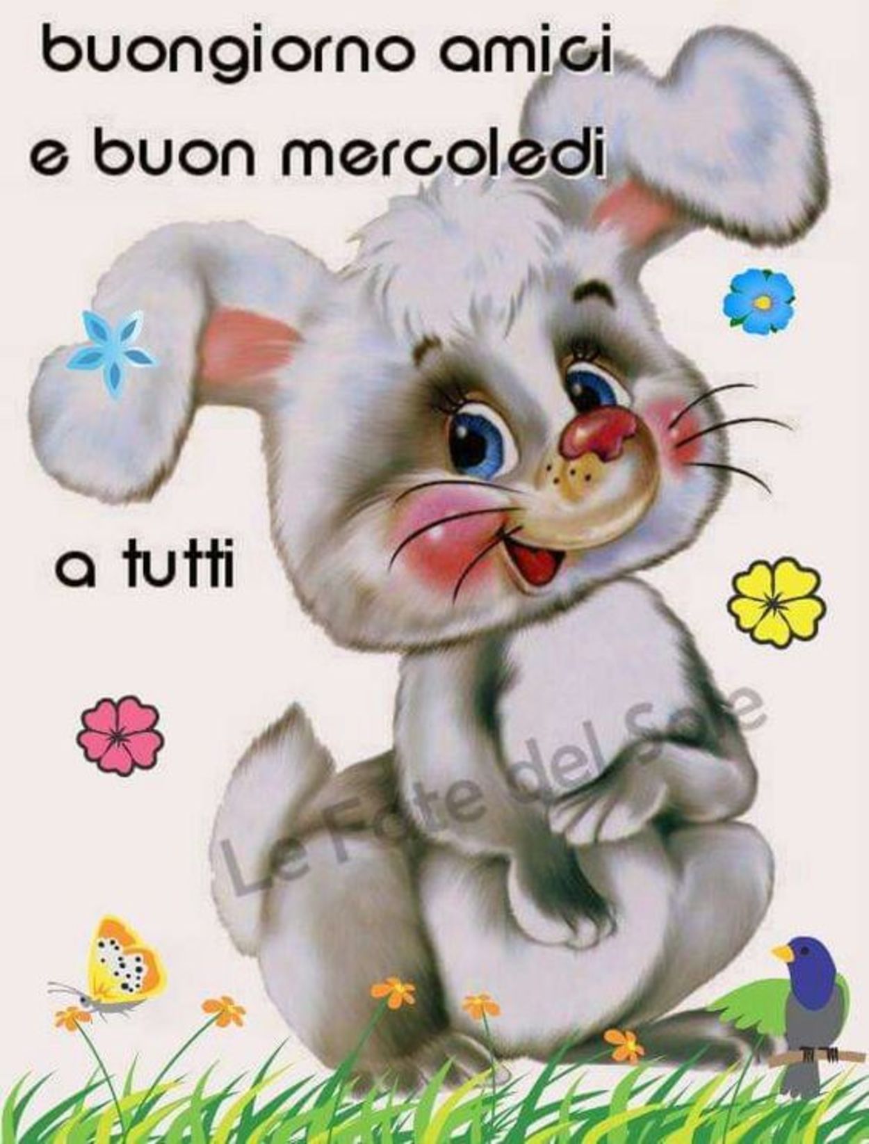 Buongiorno amici e buon mercoledì (2)