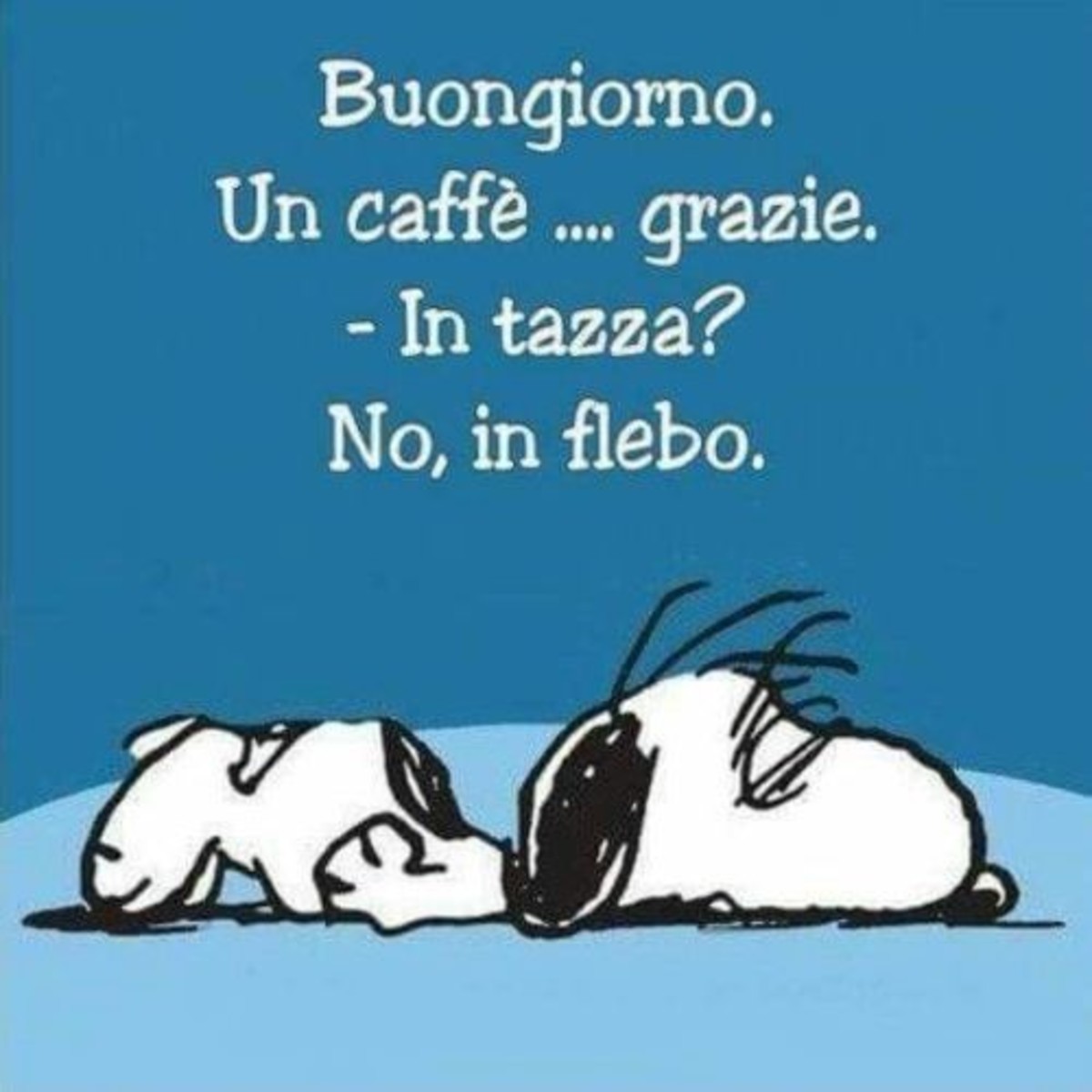 Buongiorno amici miei (2)