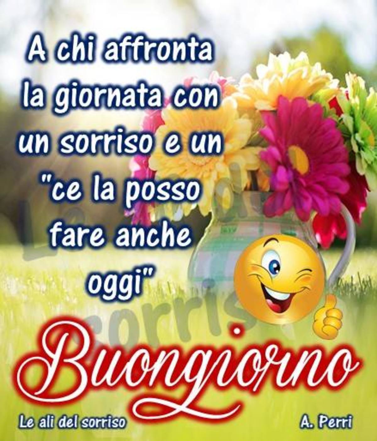 Buongiorno amici miei (4)