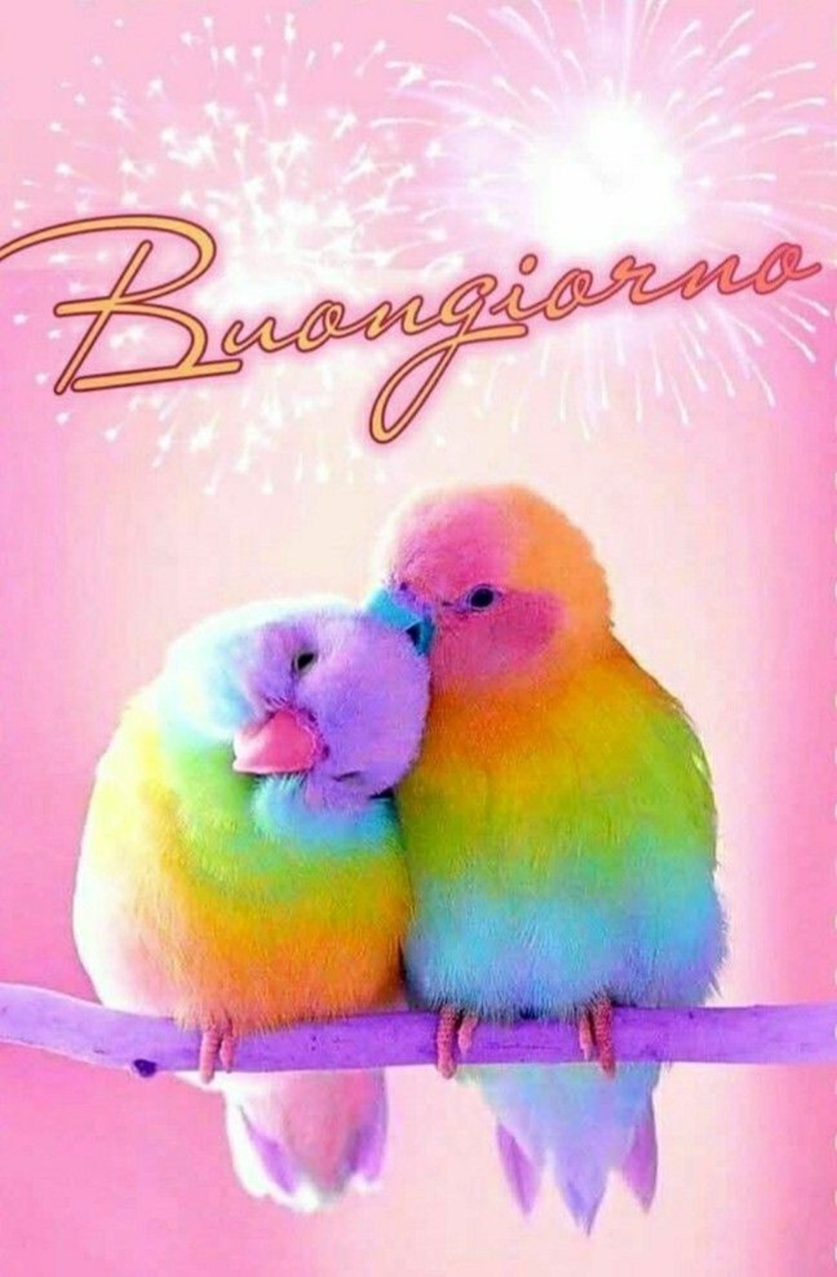 Buongiorno amore mio (2)