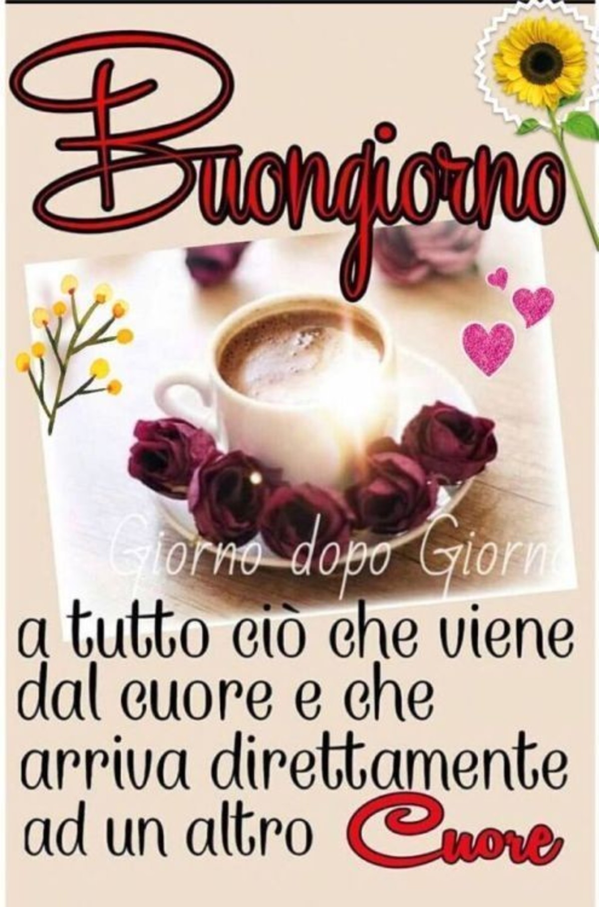 Buongiorno belle frasi (5)