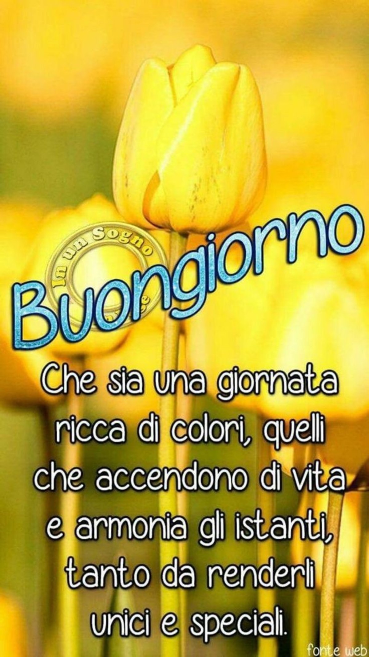 Buongiorno bellissimi fiori (1)