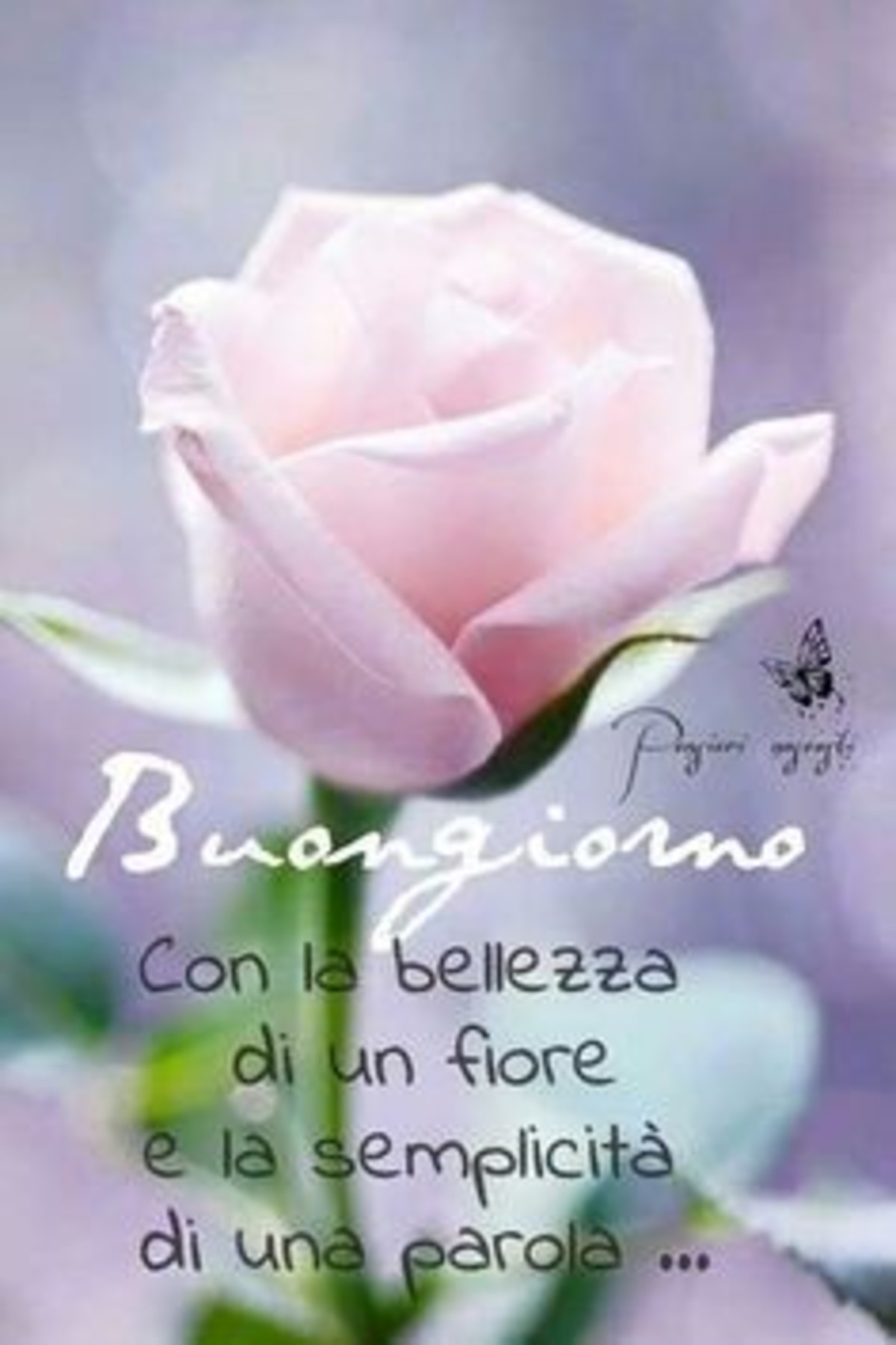 Buongiorno Bellissimo Con Fiori 2 Buongiornoate It