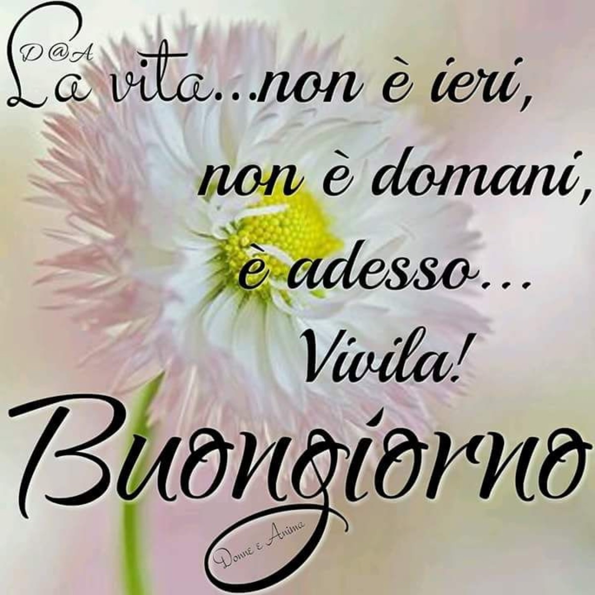 Buongiorno bello a te