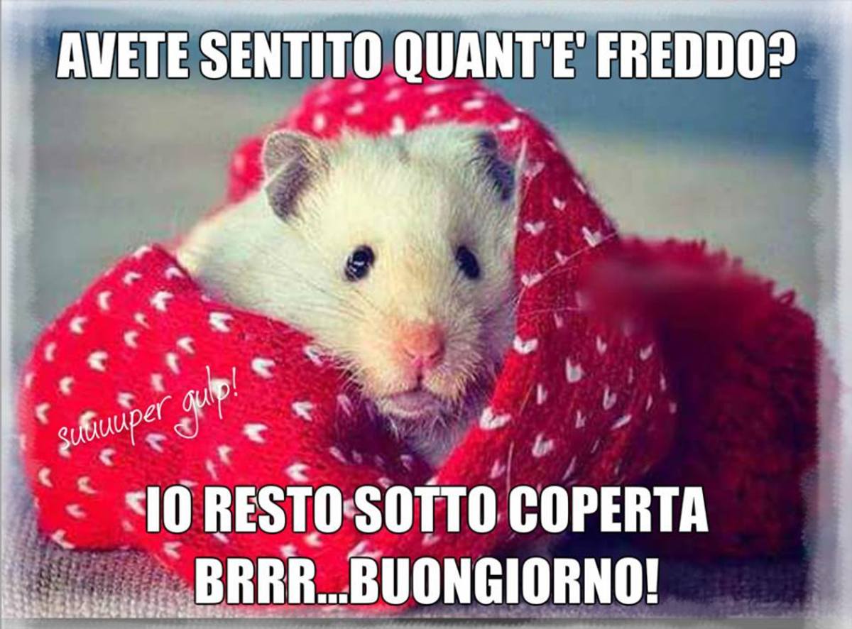 Buongiorno che freddo