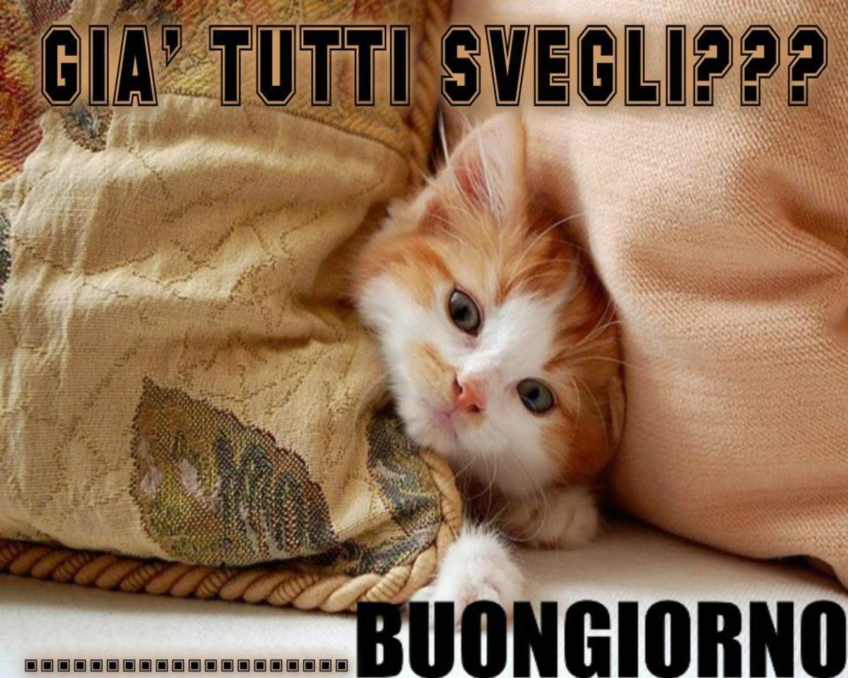 Buongiorno con allegria a te