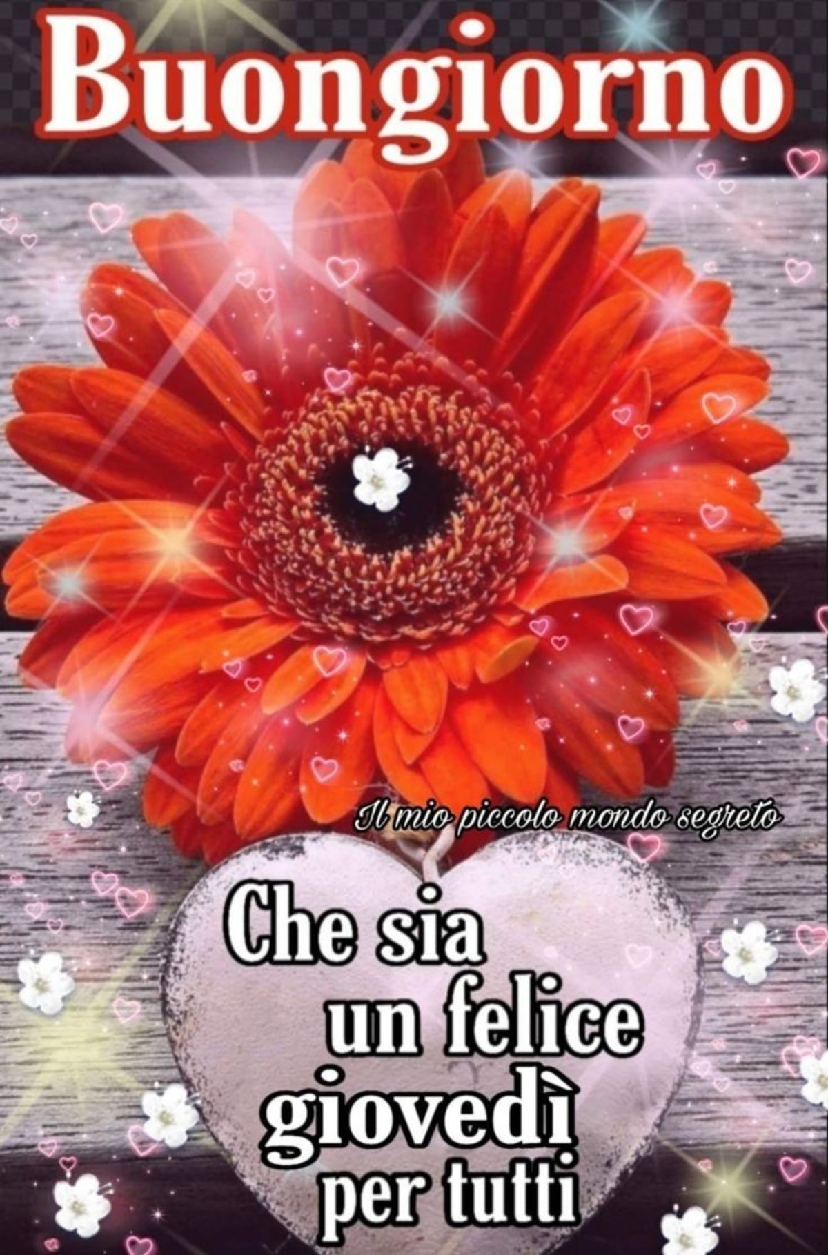 Buongiorno con fiori (6)