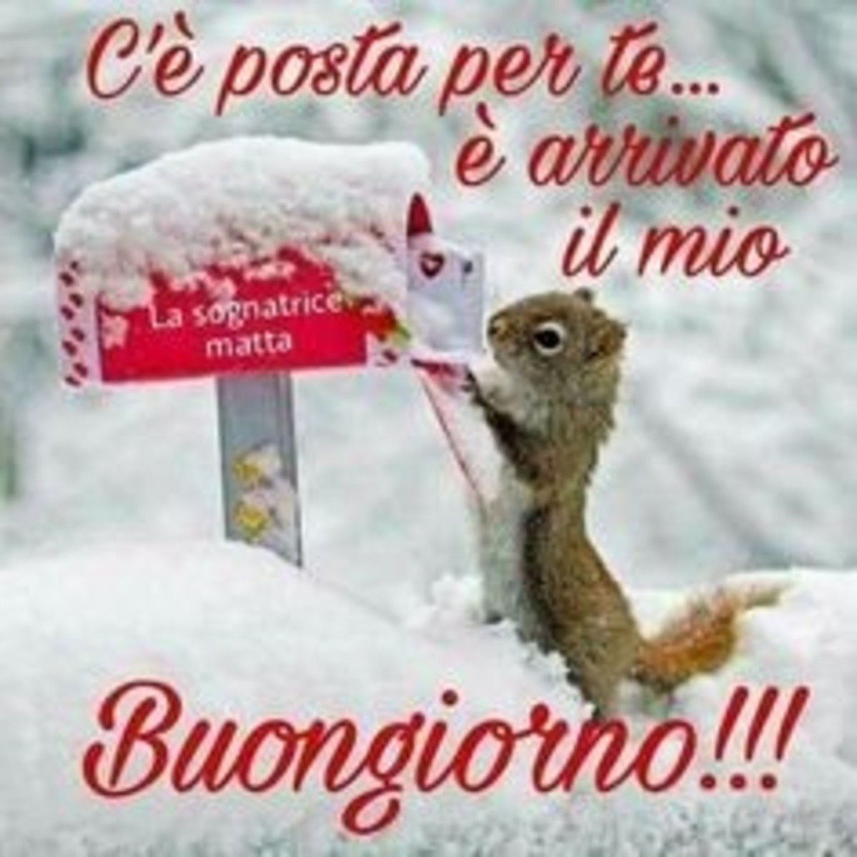 Buongiorno Con La Neve Immagini Divertenti