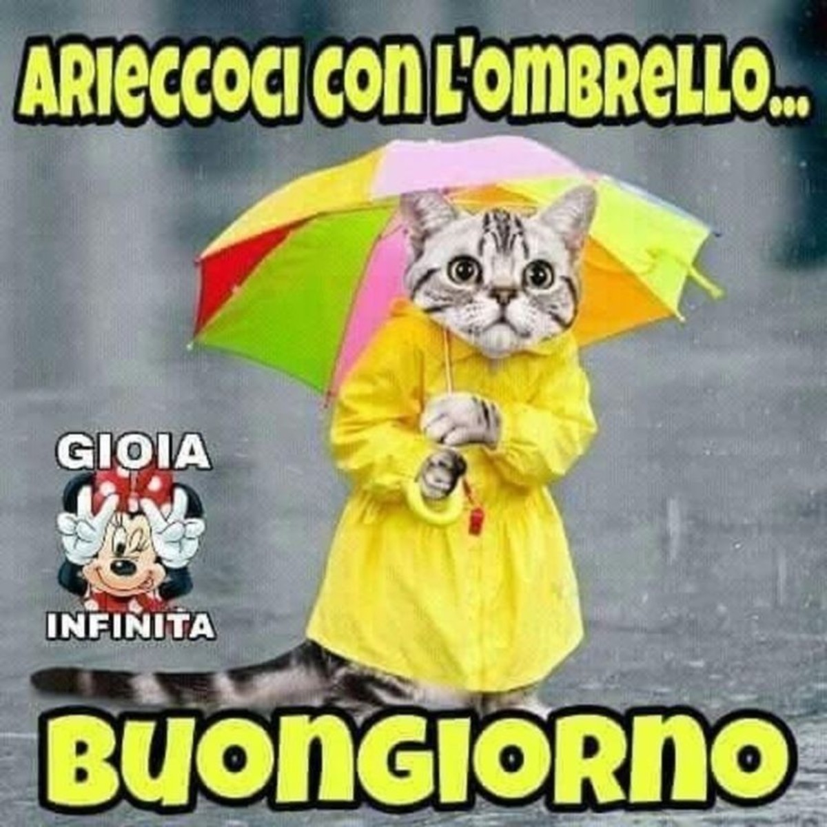 Buongiorno da ridere (1)