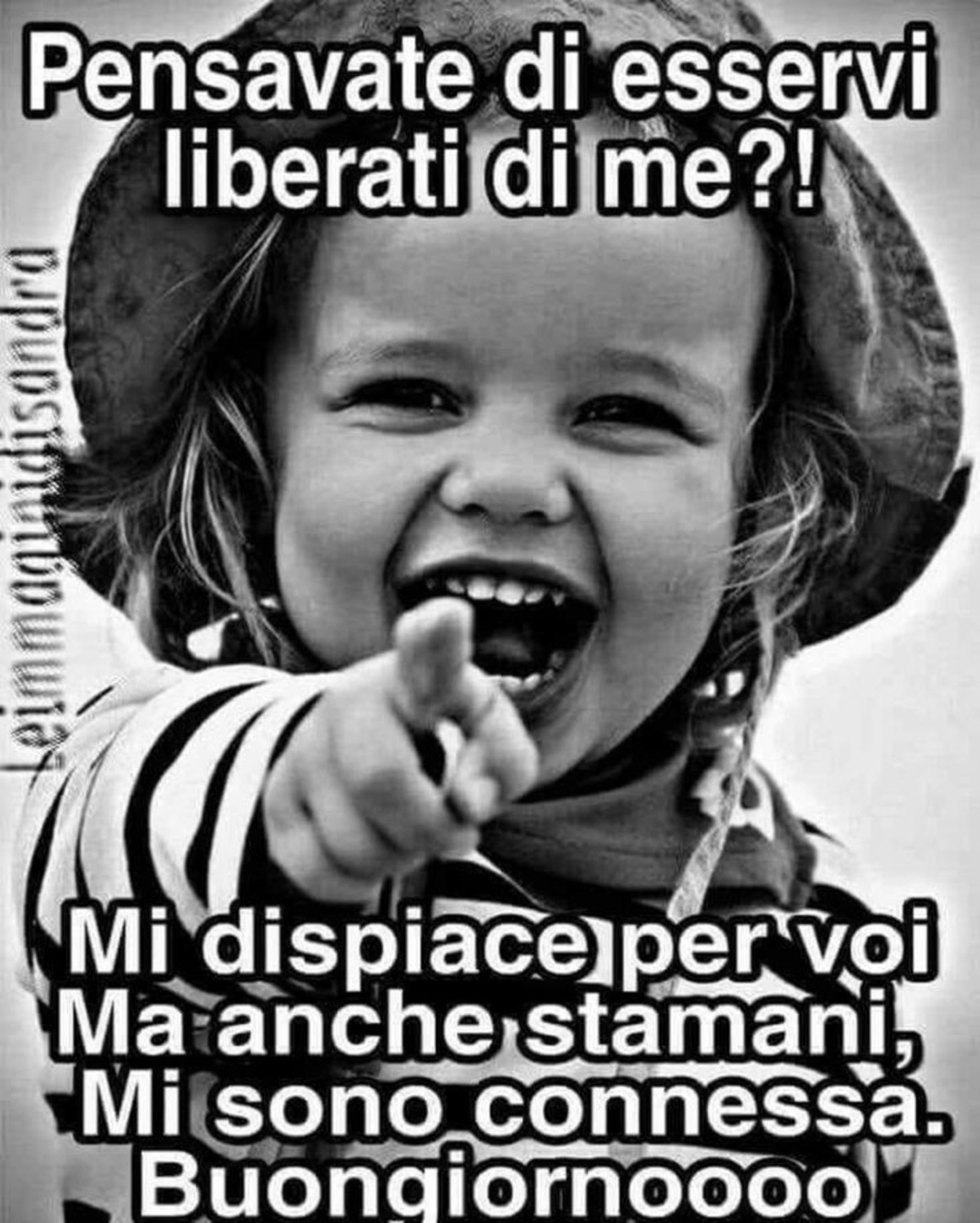 Buongiorno da ridere (5)