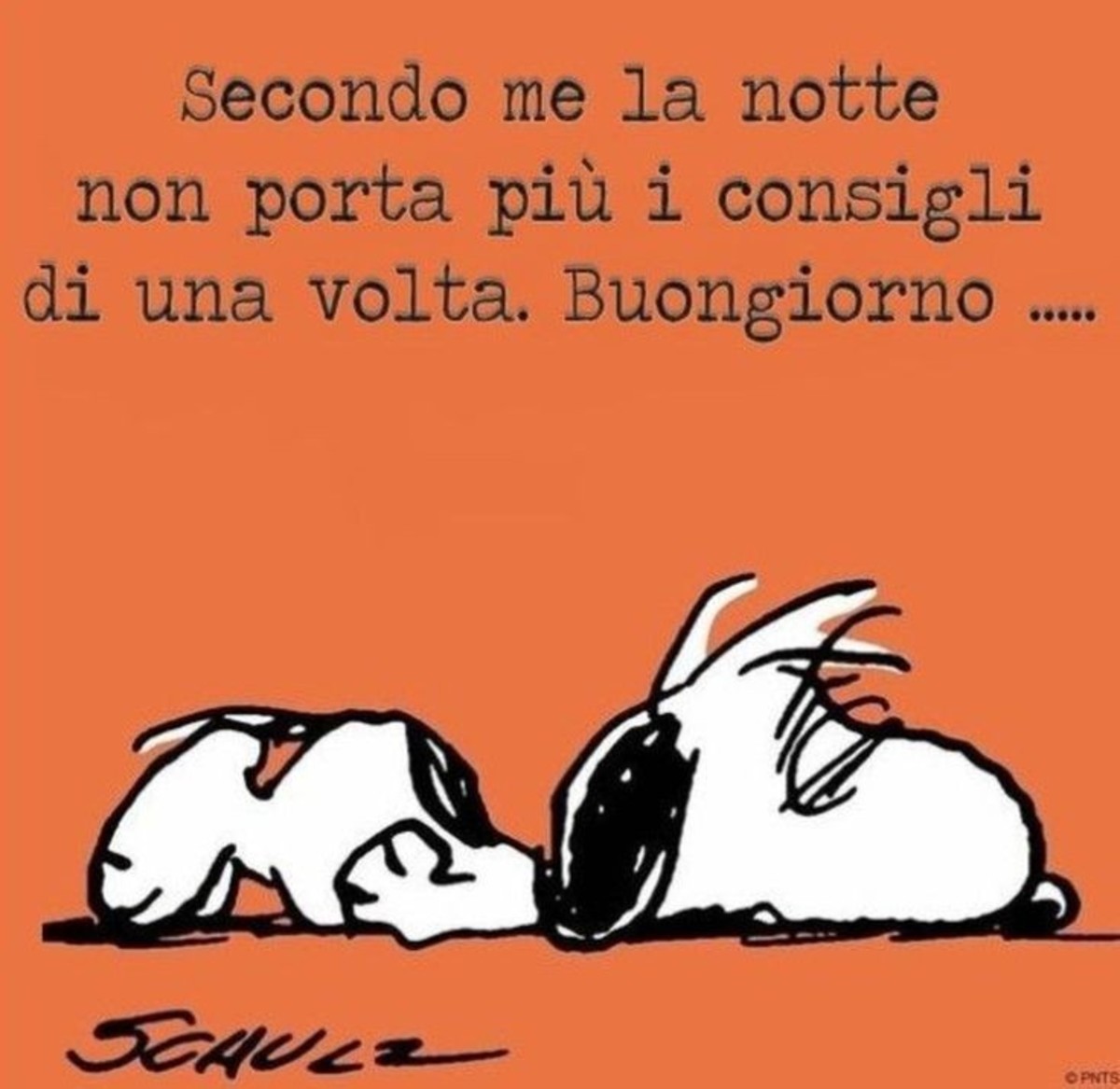 Buongiorno divertente con Snoopy (1)