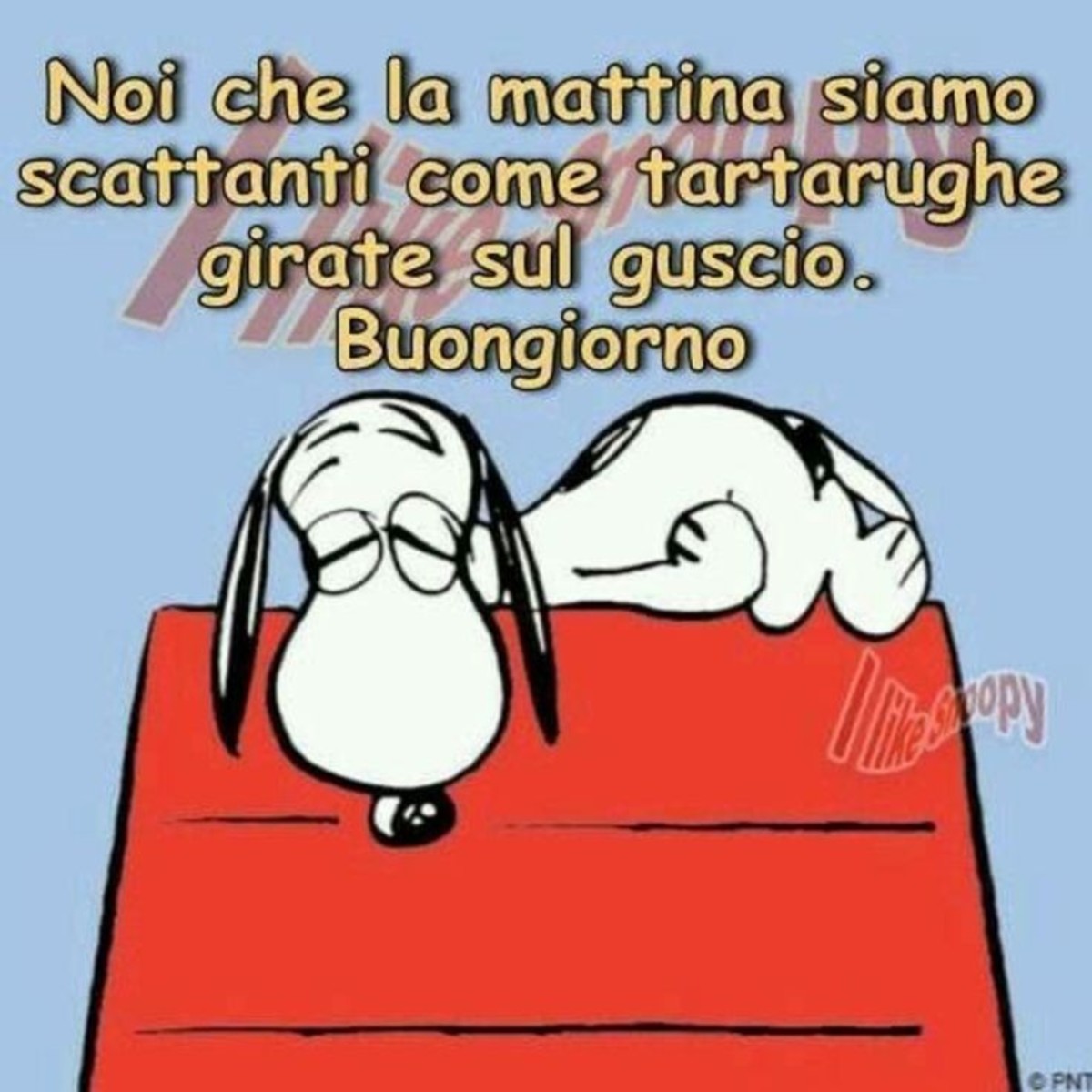 Buongiorno divertente con Snoopy (2)