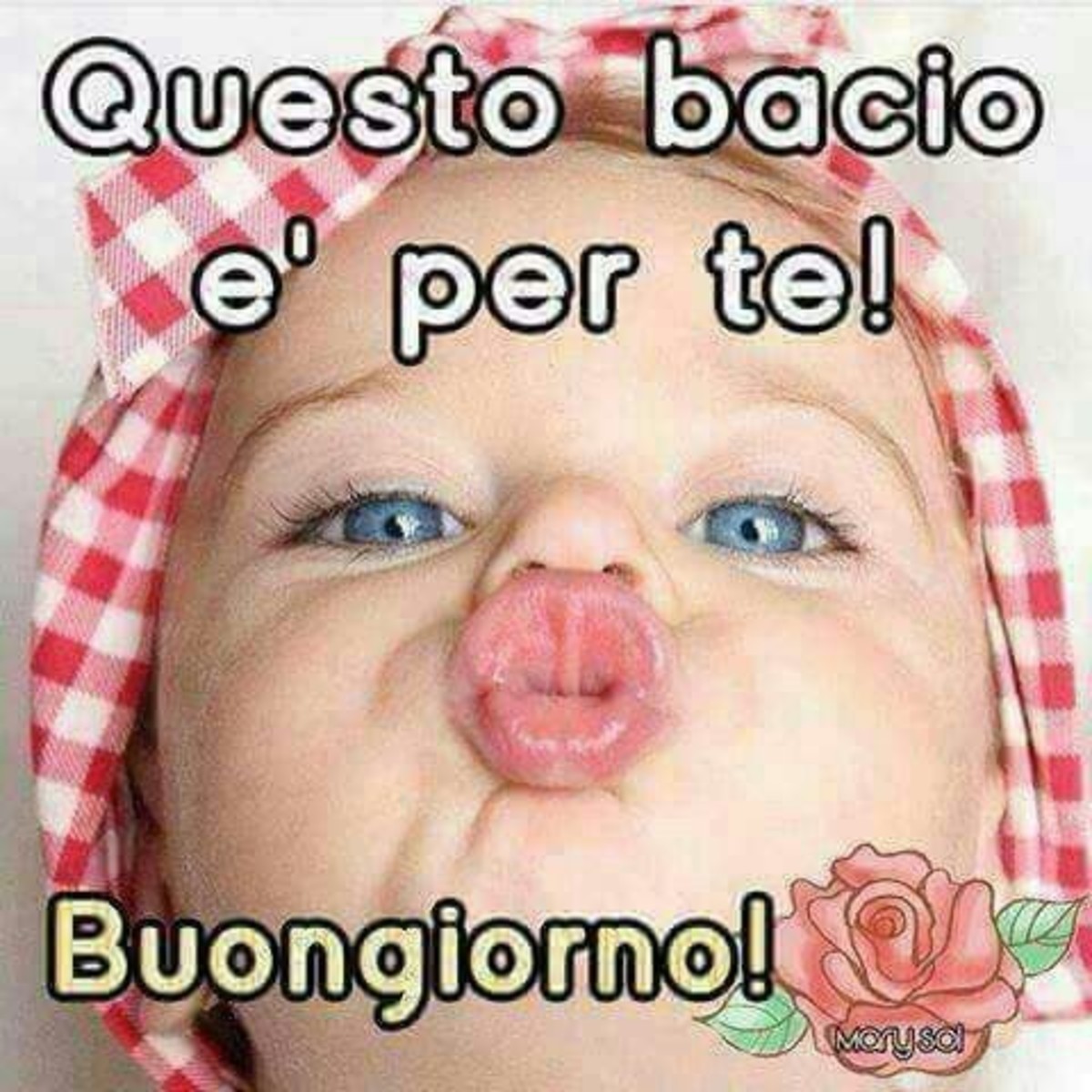 Buongiorno divertenti (4)