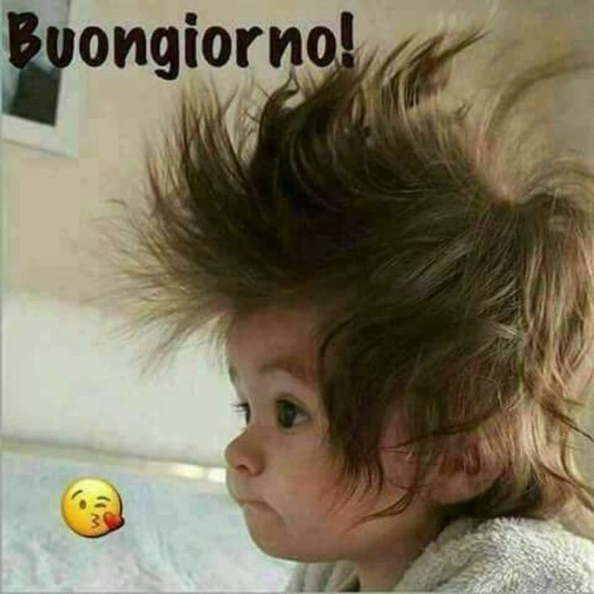 Buongiorno divertenti (5)