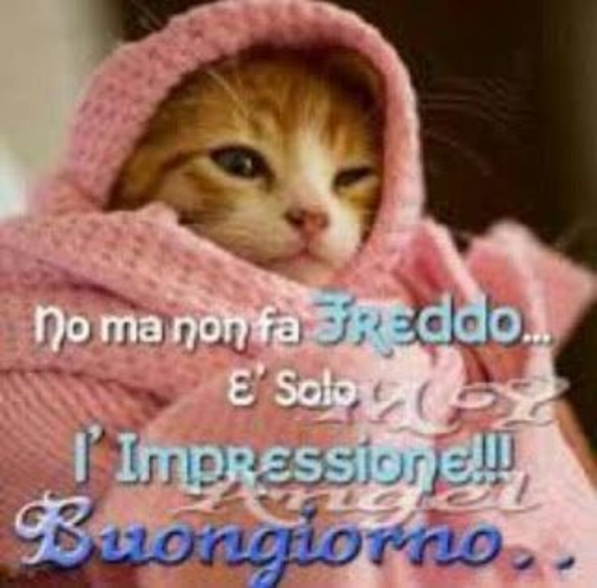 Buongiorno dolcissimo (3)