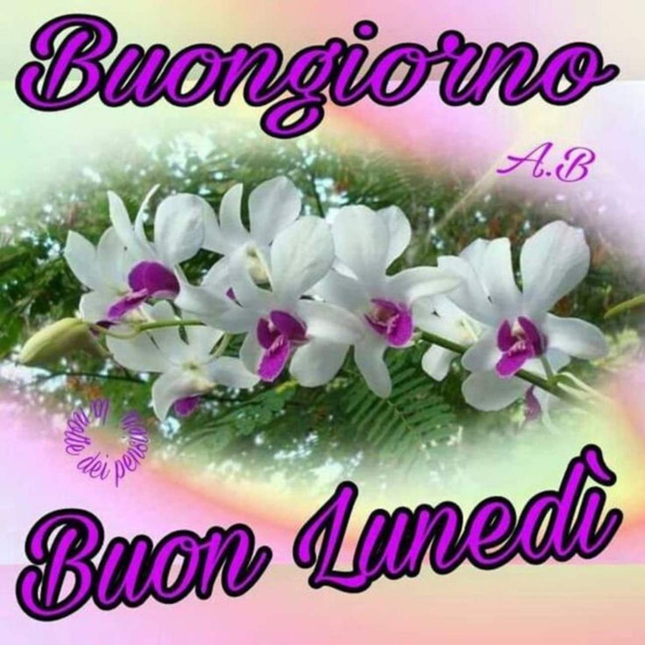 Buongiorno e buon lunedì con i fiori