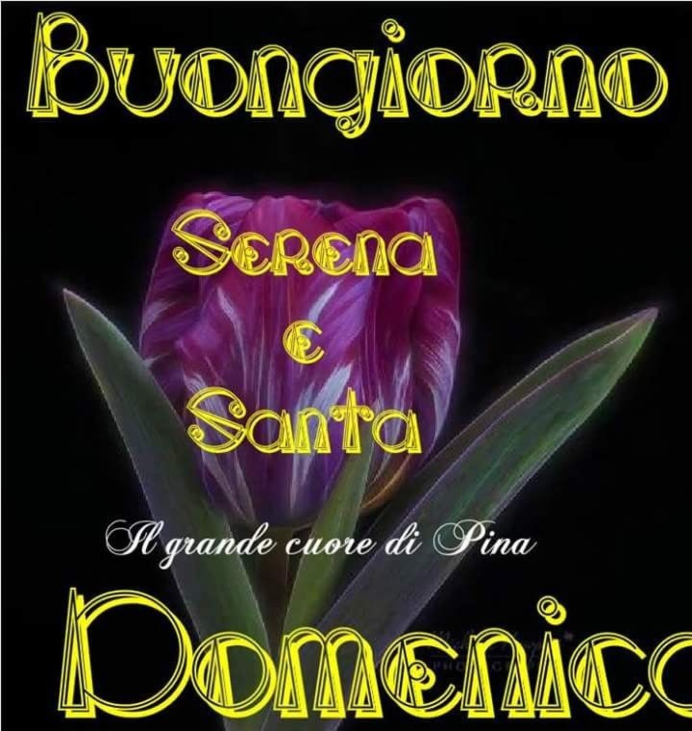 Buongiorno e buona domenica (2)