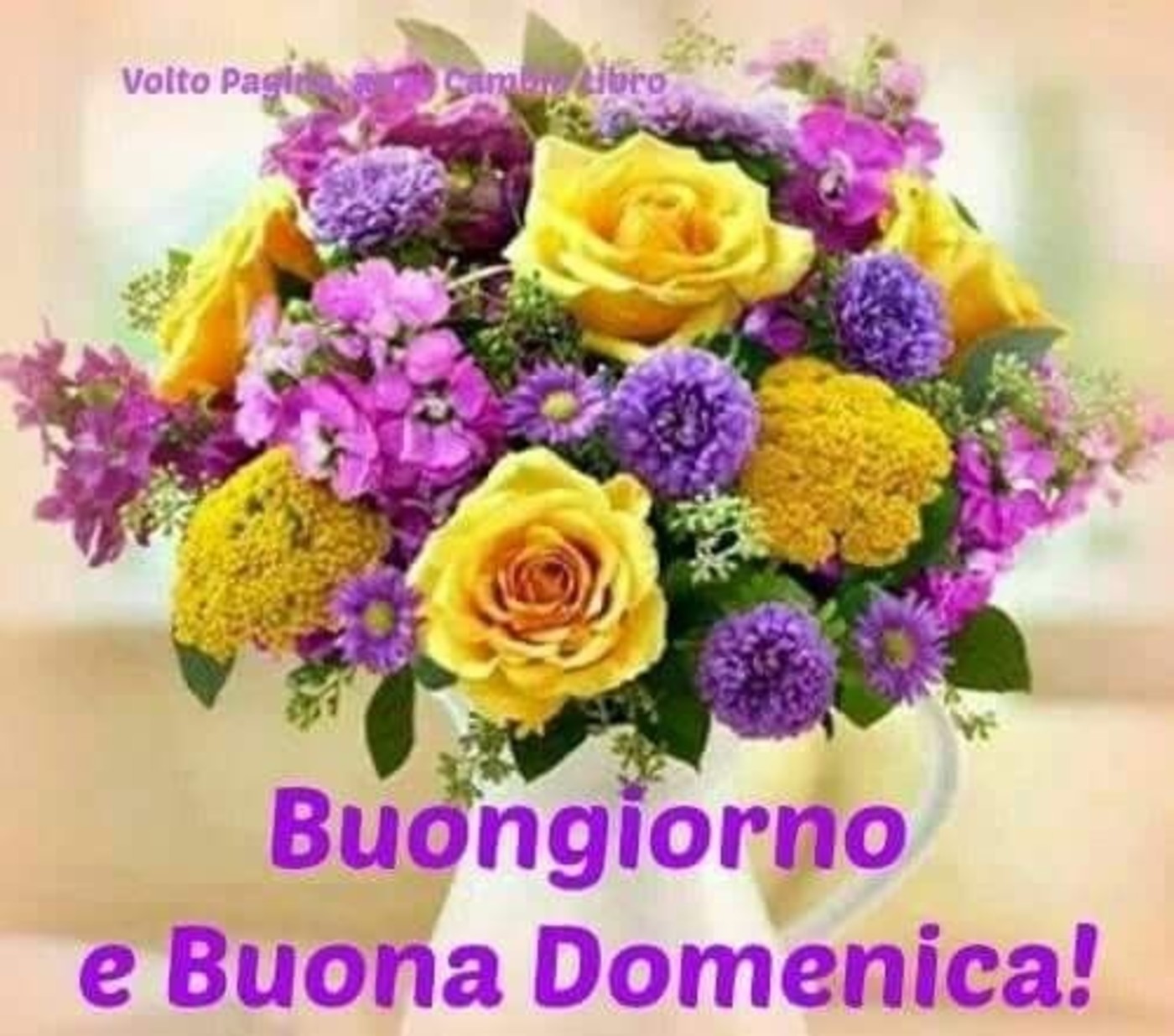 Buongiorno e buona domenica a tutti (5)