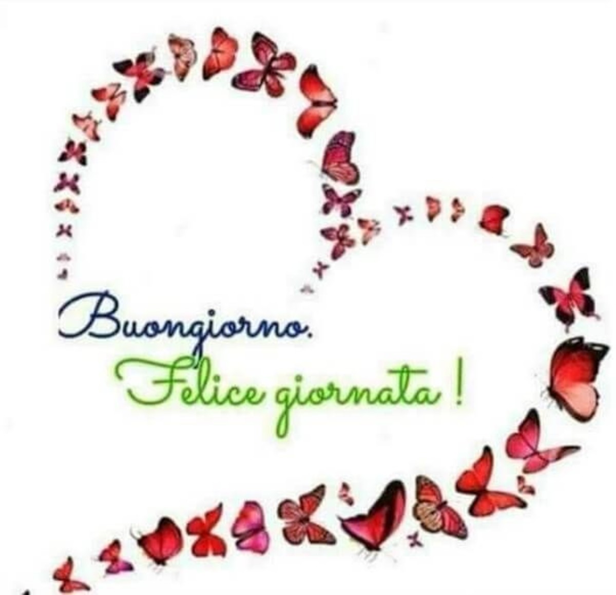 Buongiorno e felice giornata amici