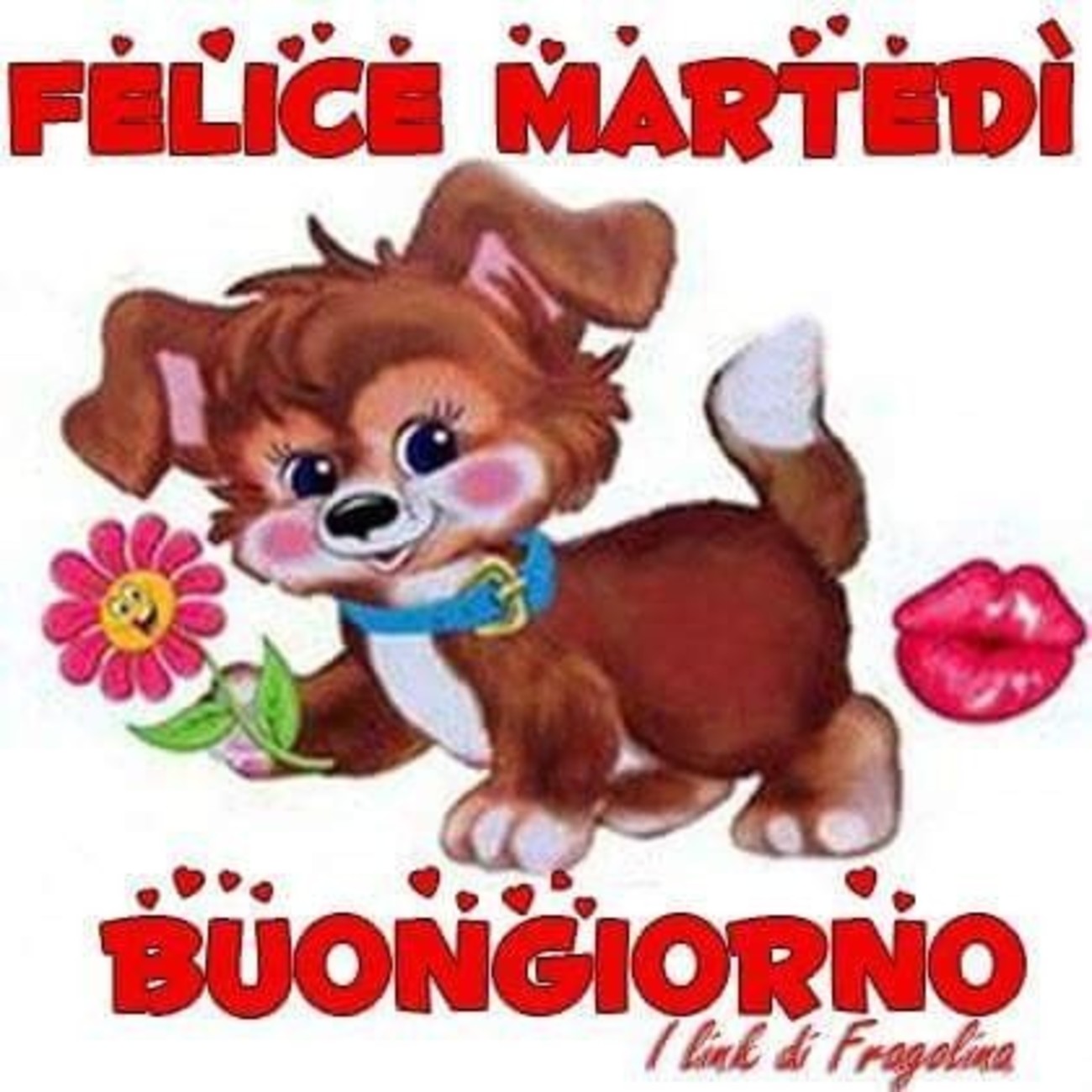 Buongiorno e felice martedì