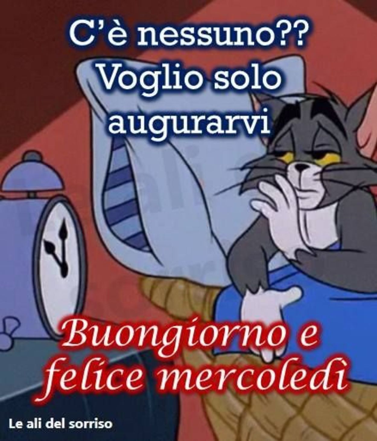 Buongiorno e felice mercoledì a tutti