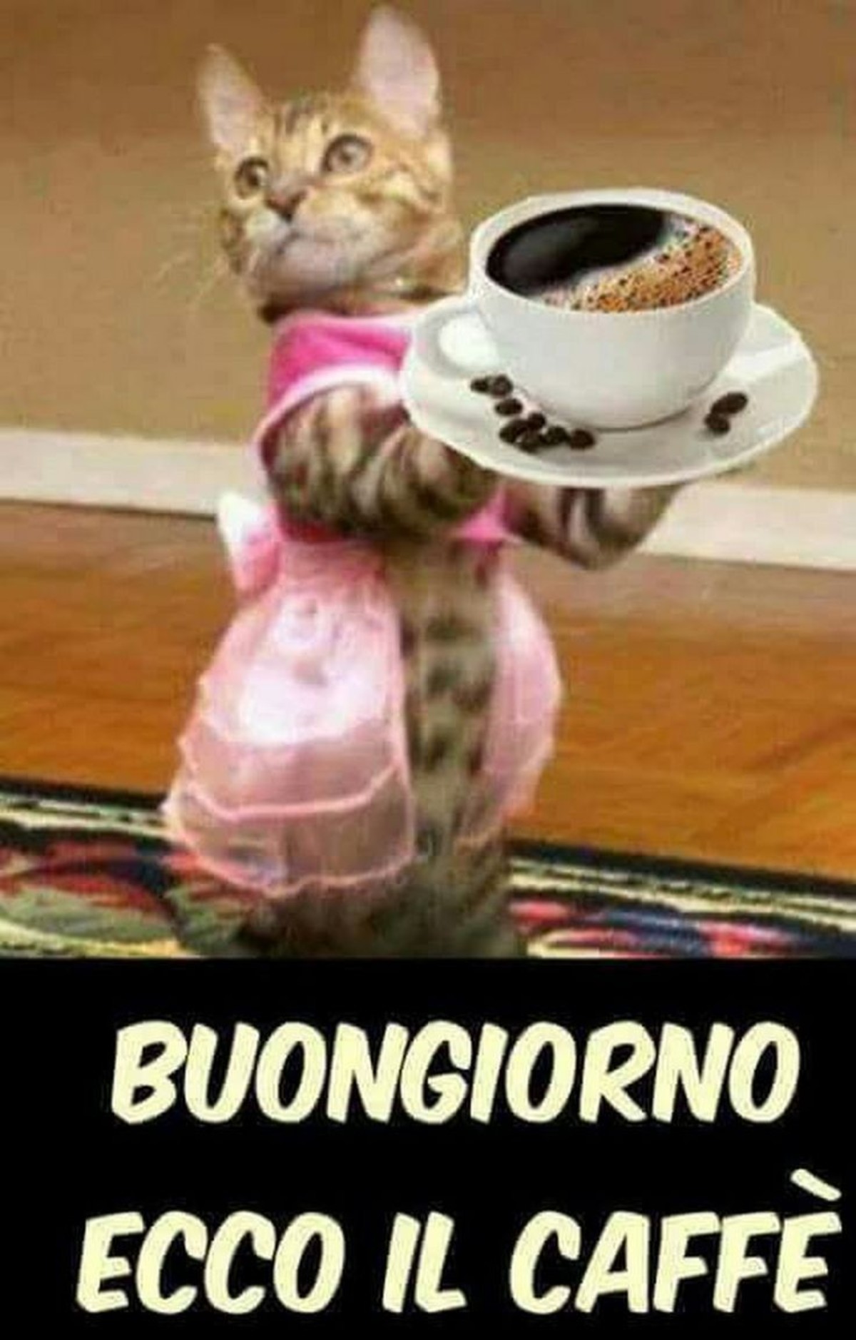 Buongiorno facebook (7)