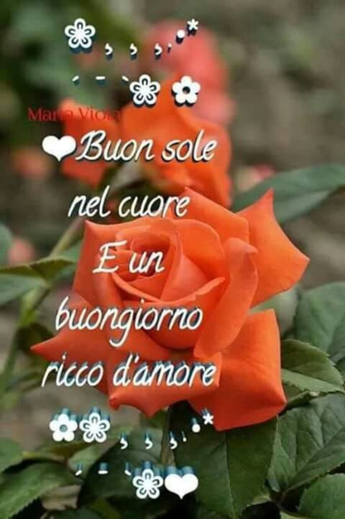 Buongiorno felice a te (2)