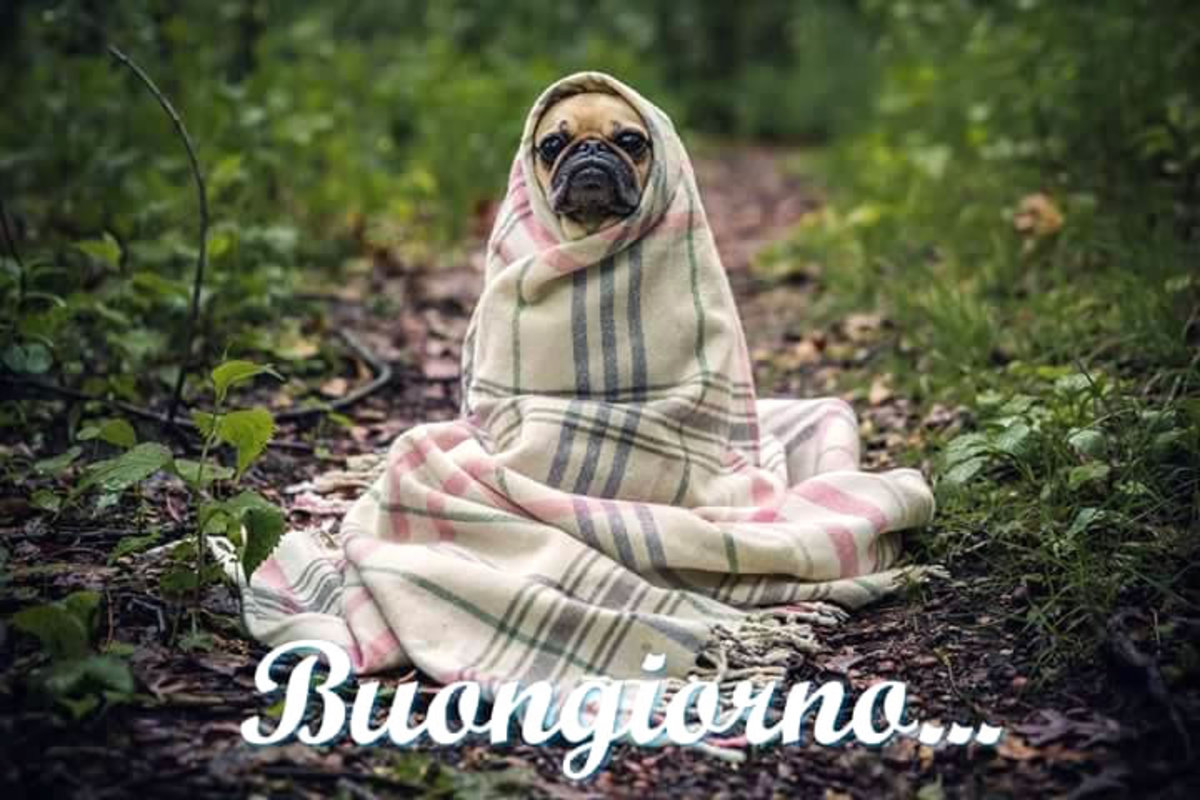 Buongiorno felice a te (9)
