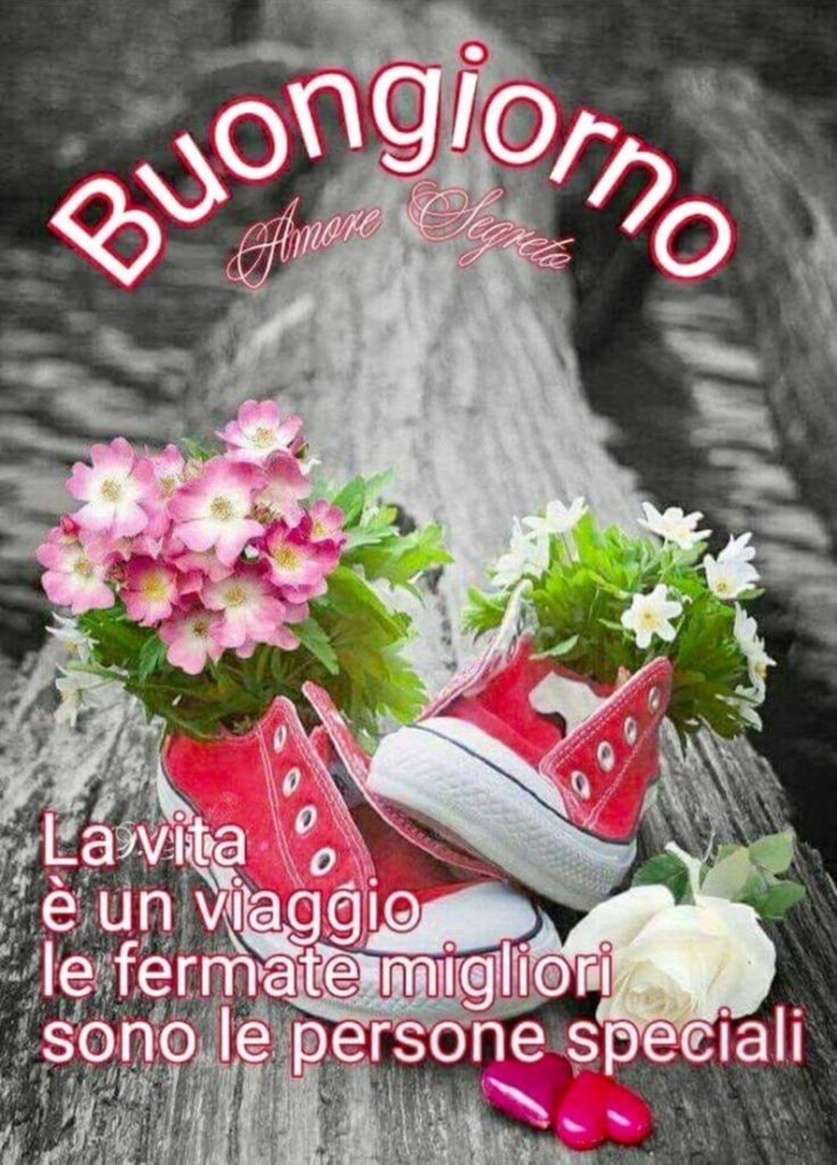 Buongiorno frasi bellissime (1)