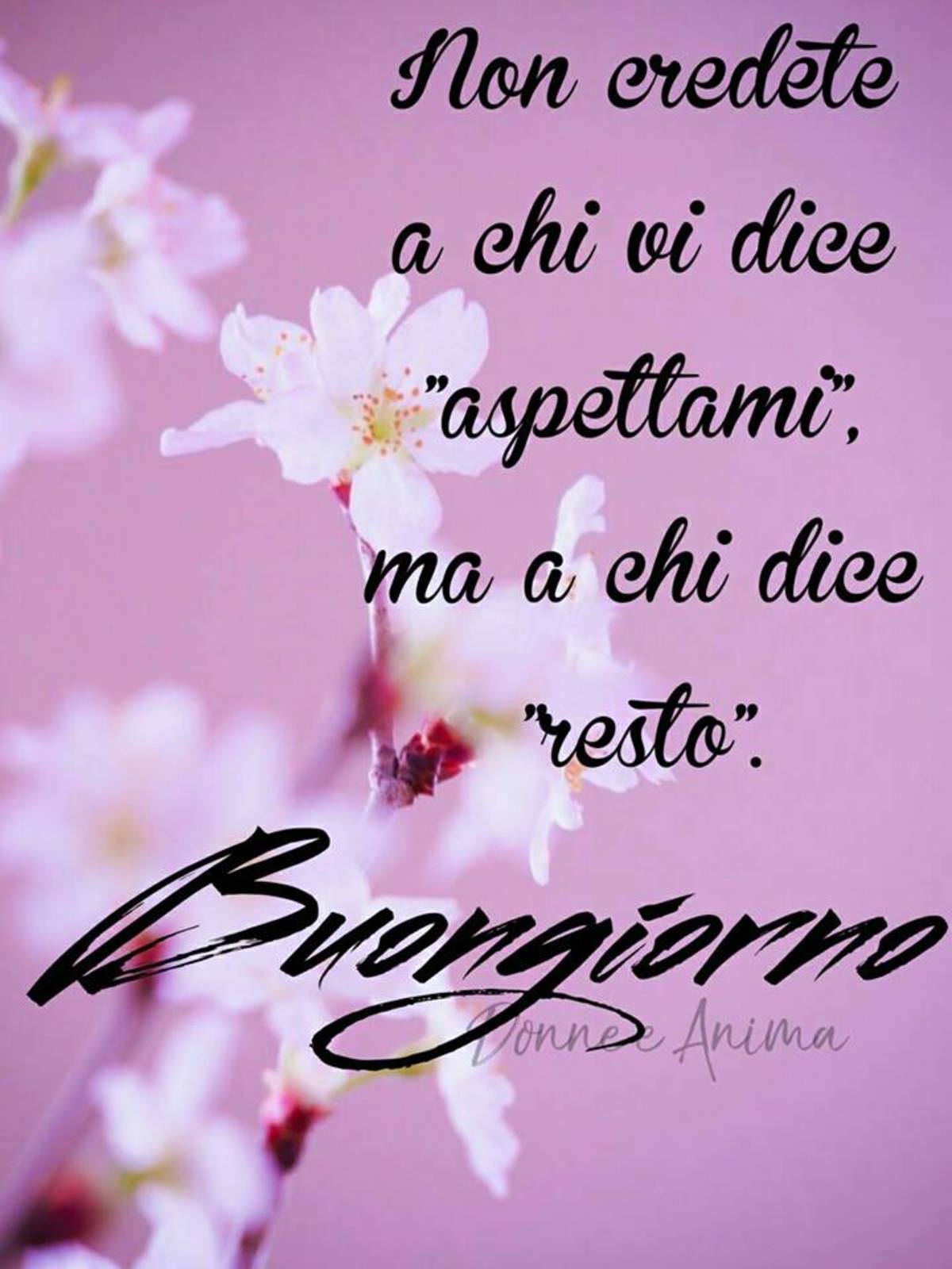 Buongiorno frasi bellissime (7)