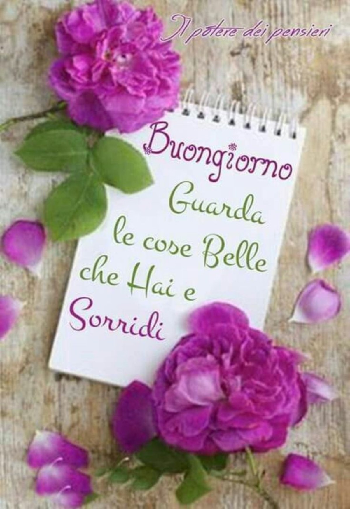 Buongiorno frasi con fiori