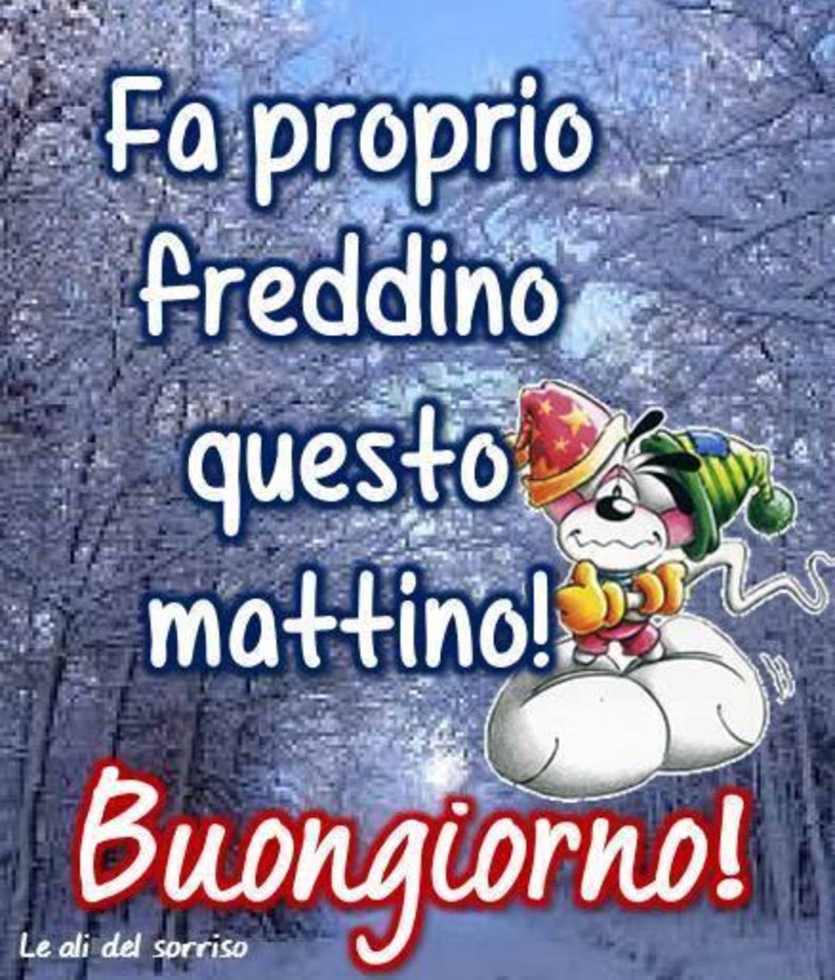 Buongiorno freddino amici