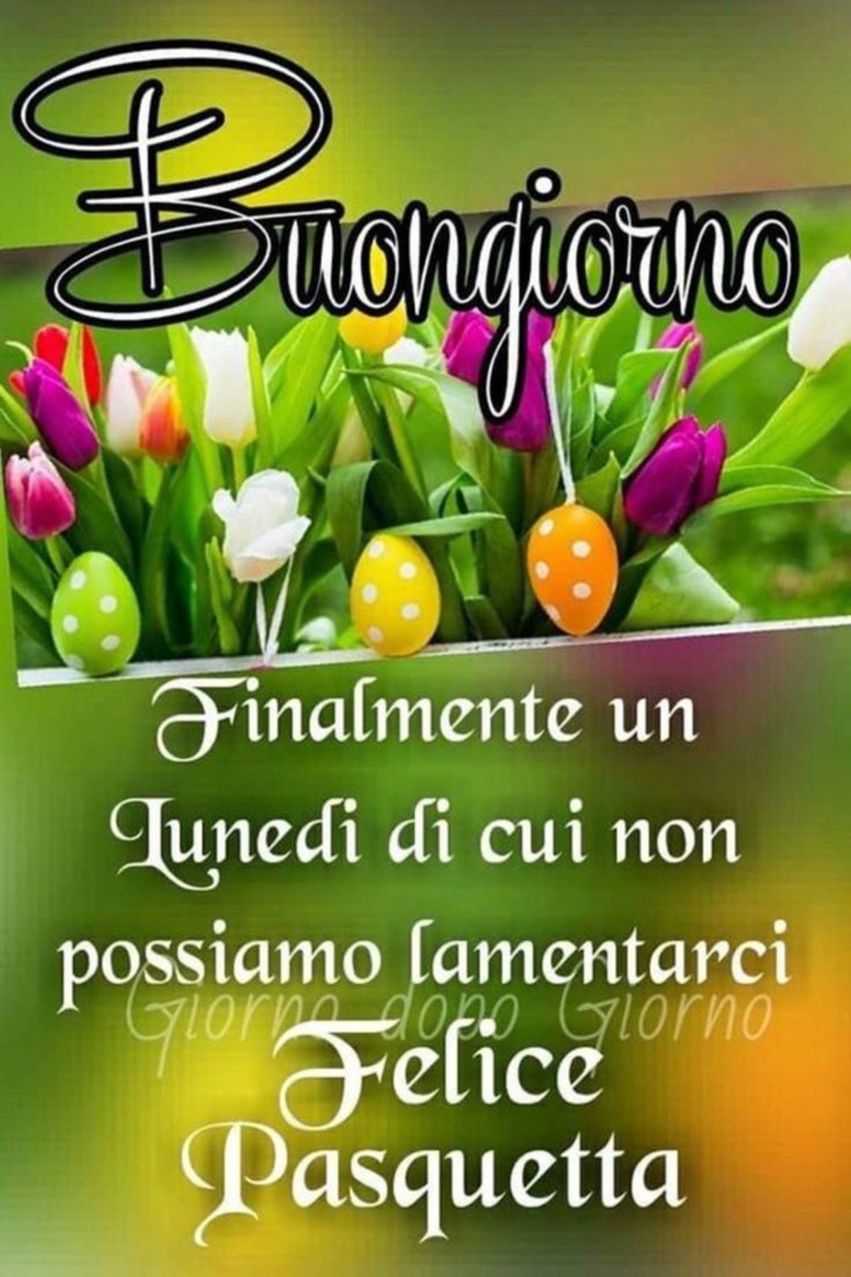 Buongiorno lunedì