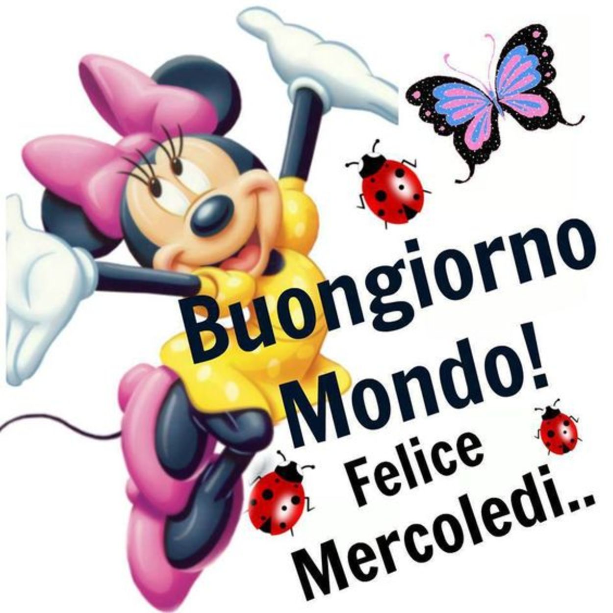 Buongiorno mondo e felice mercoledì a tutti