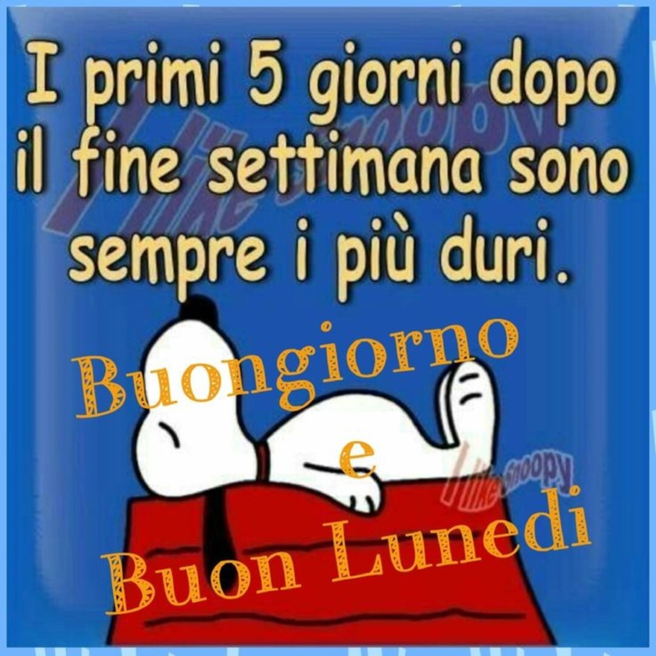 Divertente buon lunedì da mandare