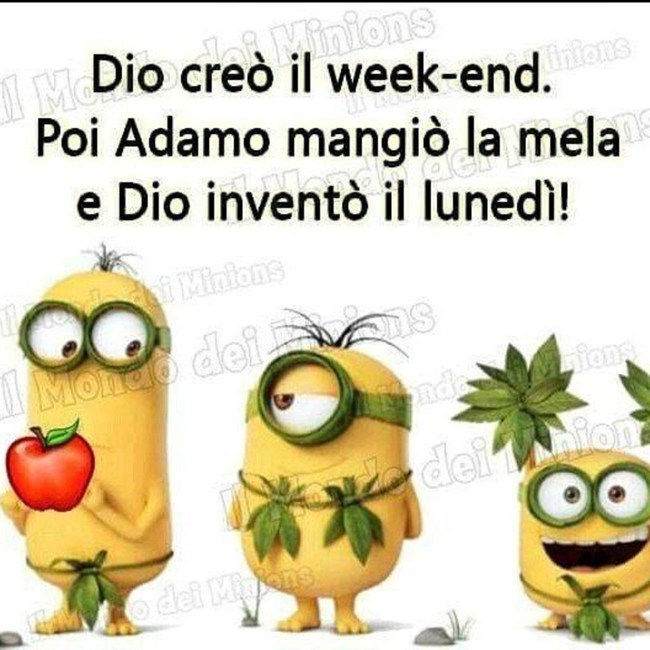 Divertenti buon lunedì con i minions (2)