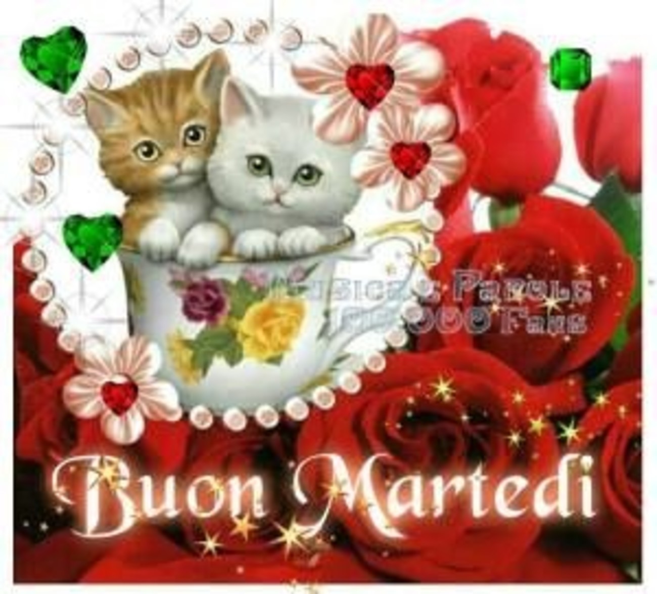 Dolce buon martedì